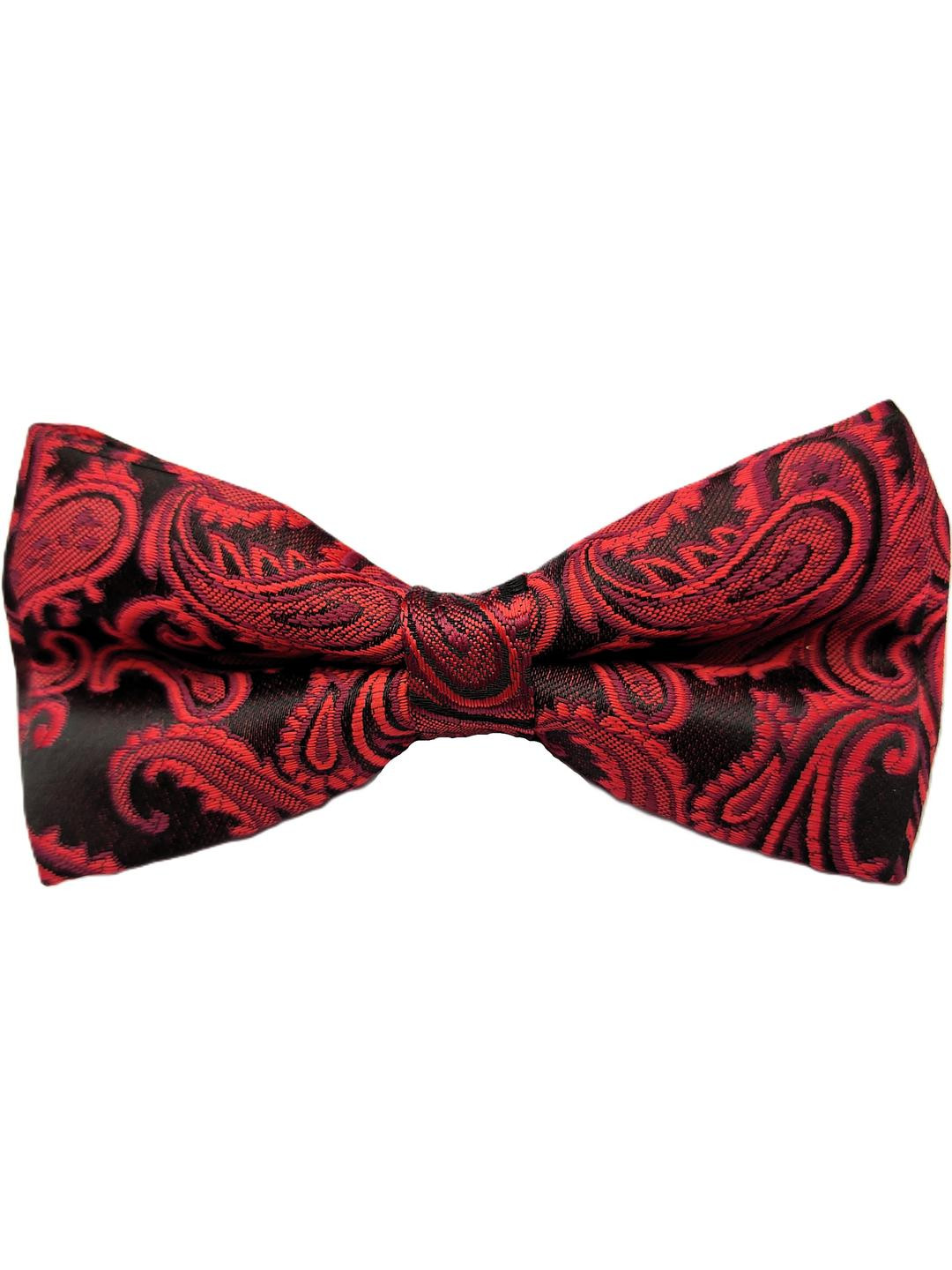 Designer Paisley & Self Design Bow