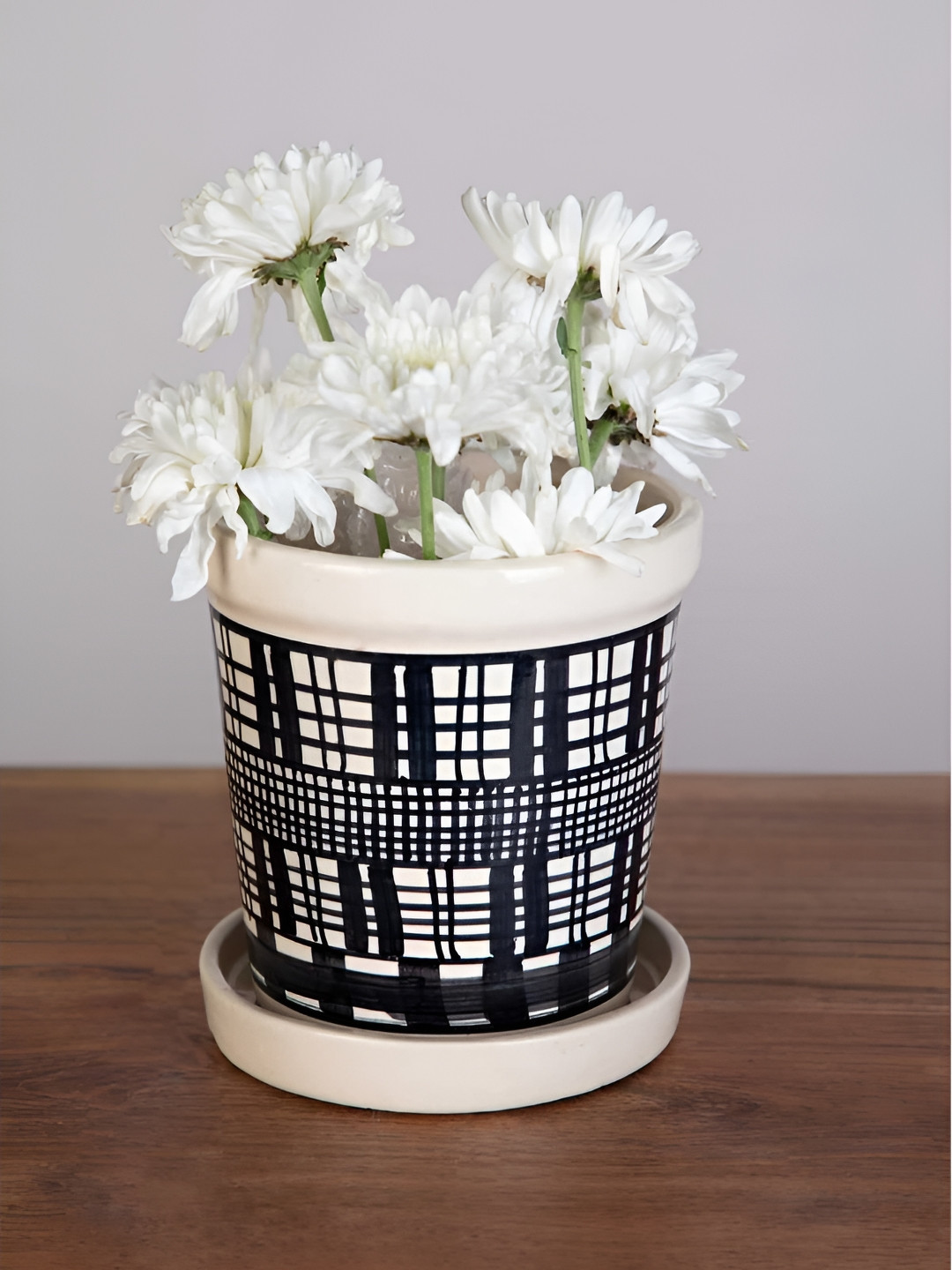 FREEDOM TREE Black & White Textured Ceramic Planters With Tray