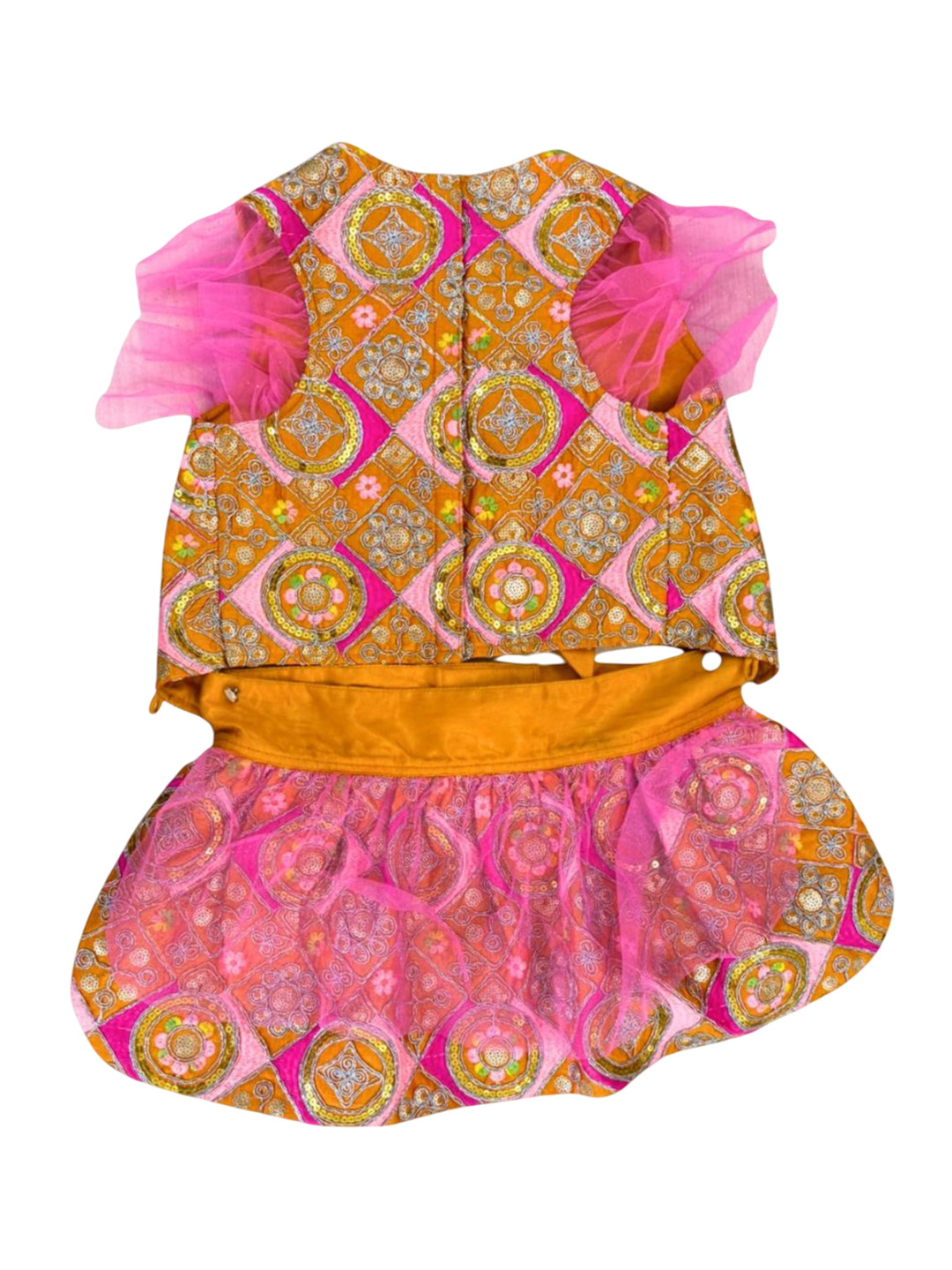 Lulala Female Dogs & Cats Embroidered Lehenga Choli