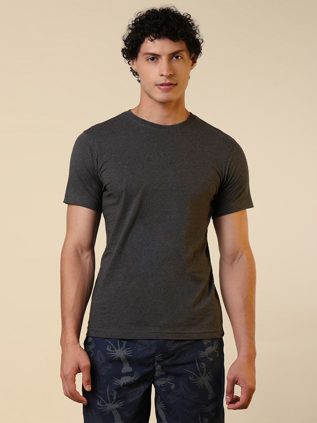SleepZ by Raymond Round Neck Pure Cotton T-shirt