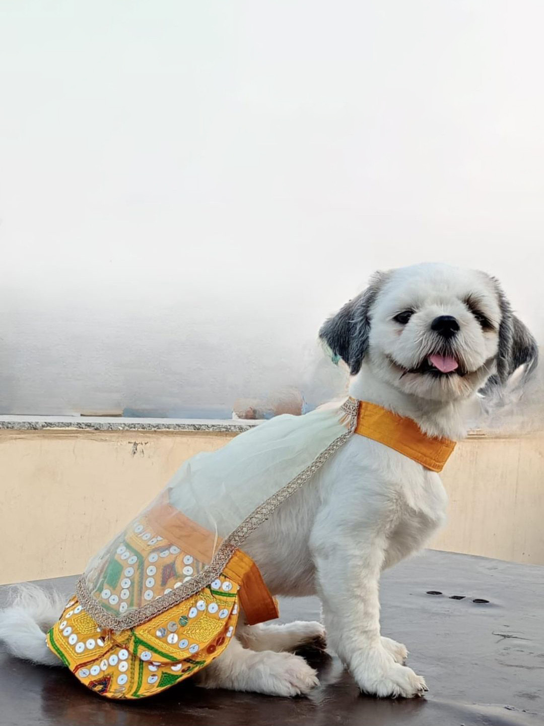 Lulala Female Dogs & Cats Embroidered Lehenga Choli With Dupatta