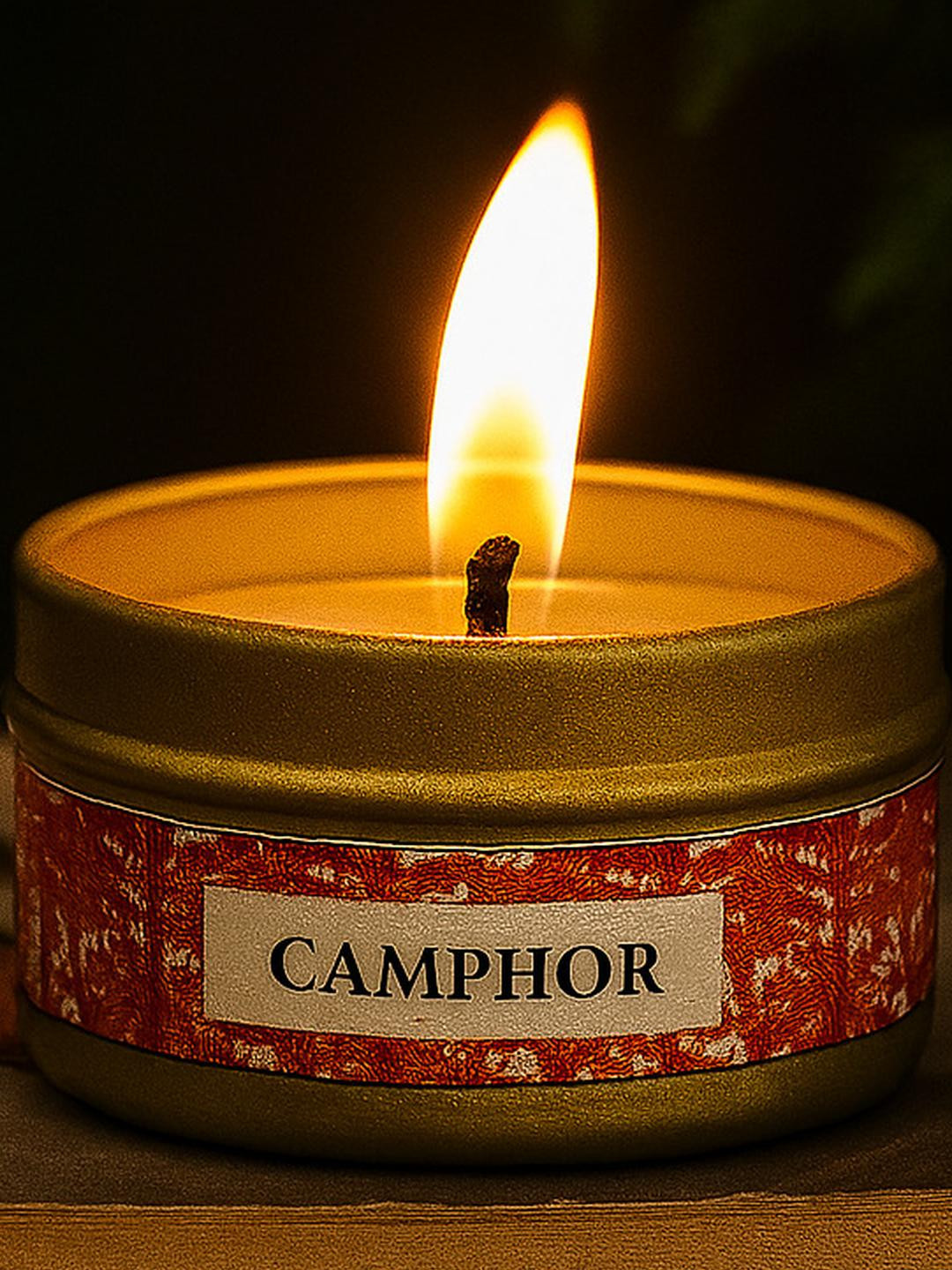 LIGHT JEWELS Camphor Beeswax and Coconut Wax 5Pcs 1 Wick Leaf Round Regular Jar Candles