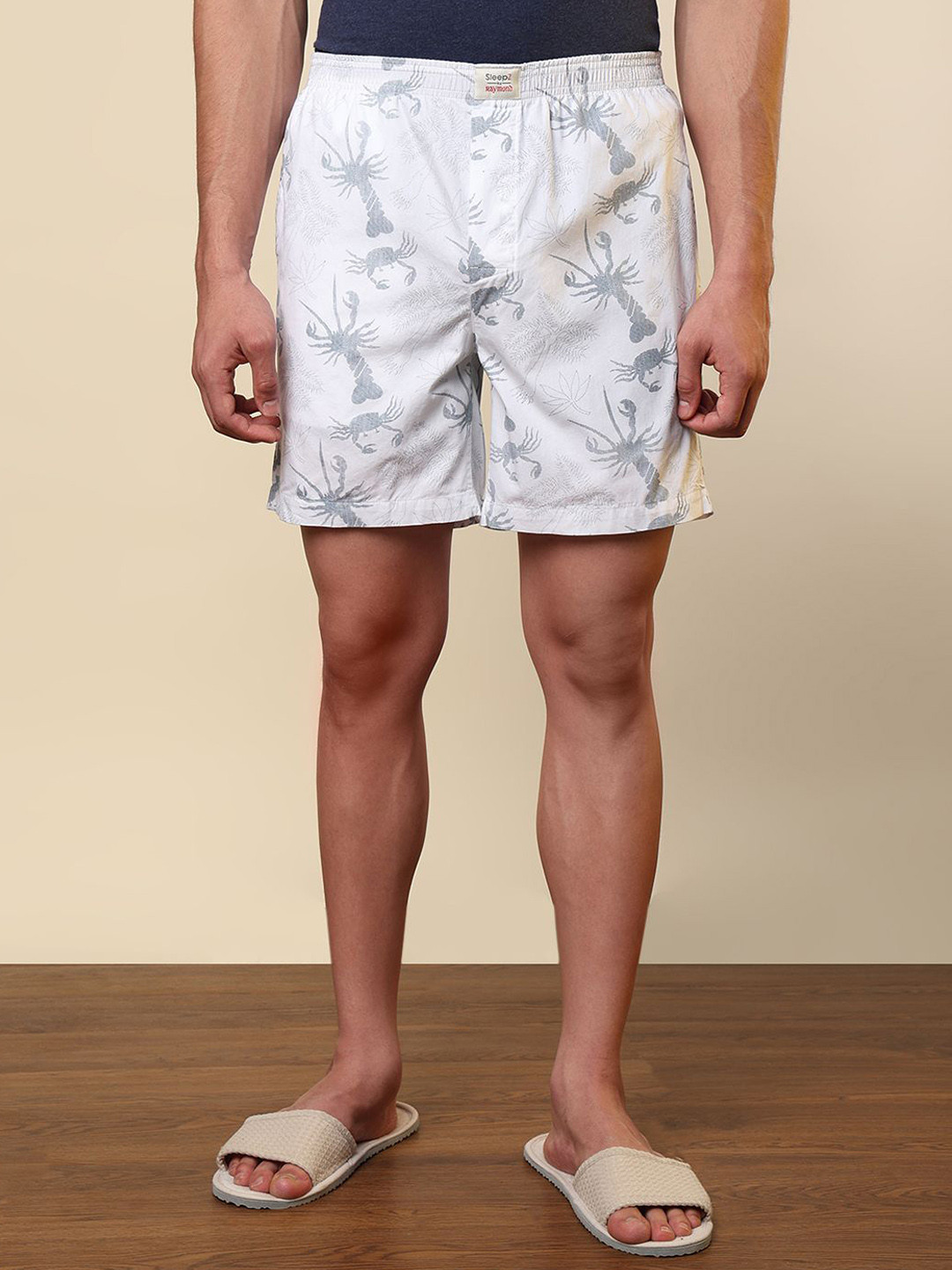 SleepZ by Raymond Printed Pure Cotton Mid-Rise Boxer AHBA00030-W3