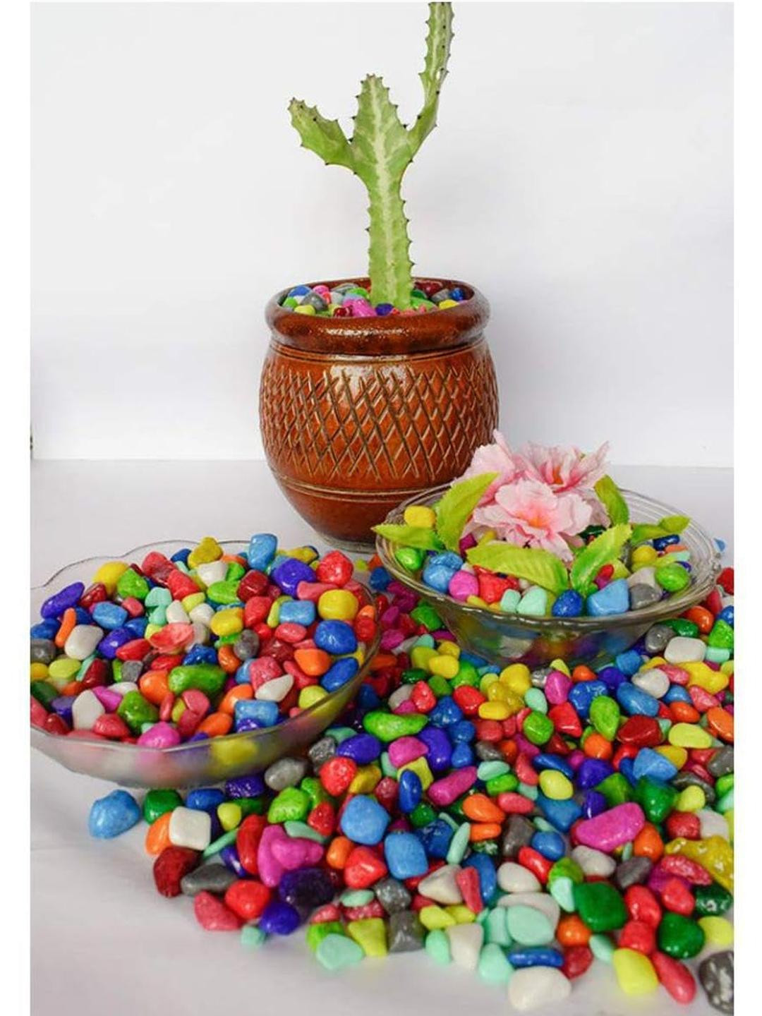 Somil Multicolor Pebbles/Stones for Garden, Plants, Lawns, Aquariums, Fish Pots, Home Decor, Vases, Furniture Filler. Size: 10-30mm, Shiny Multicolor -A141