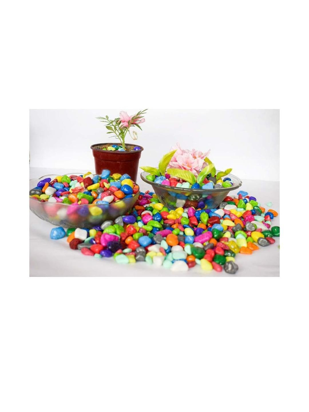 Somil Multicolor Pebbles/Stones for Garden, Plants, Lawns, Aquariums, Fish Pots, Home Decor, Vases, Furniture Filler. Size: 10-30mm, Shiny Multicolor -A481