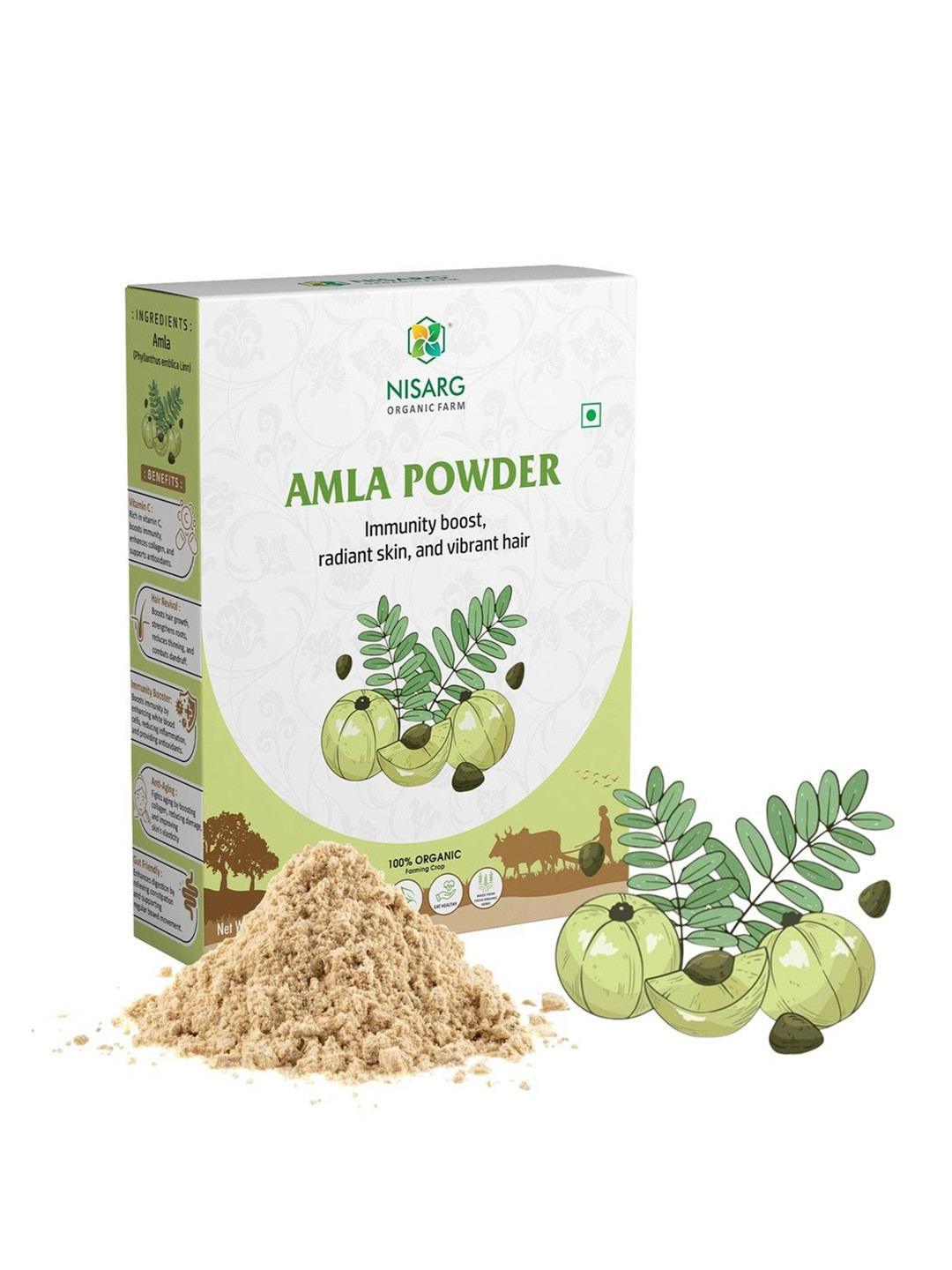 NISARG ORGANIC FARM Amla Powder For Digestion - 100 g