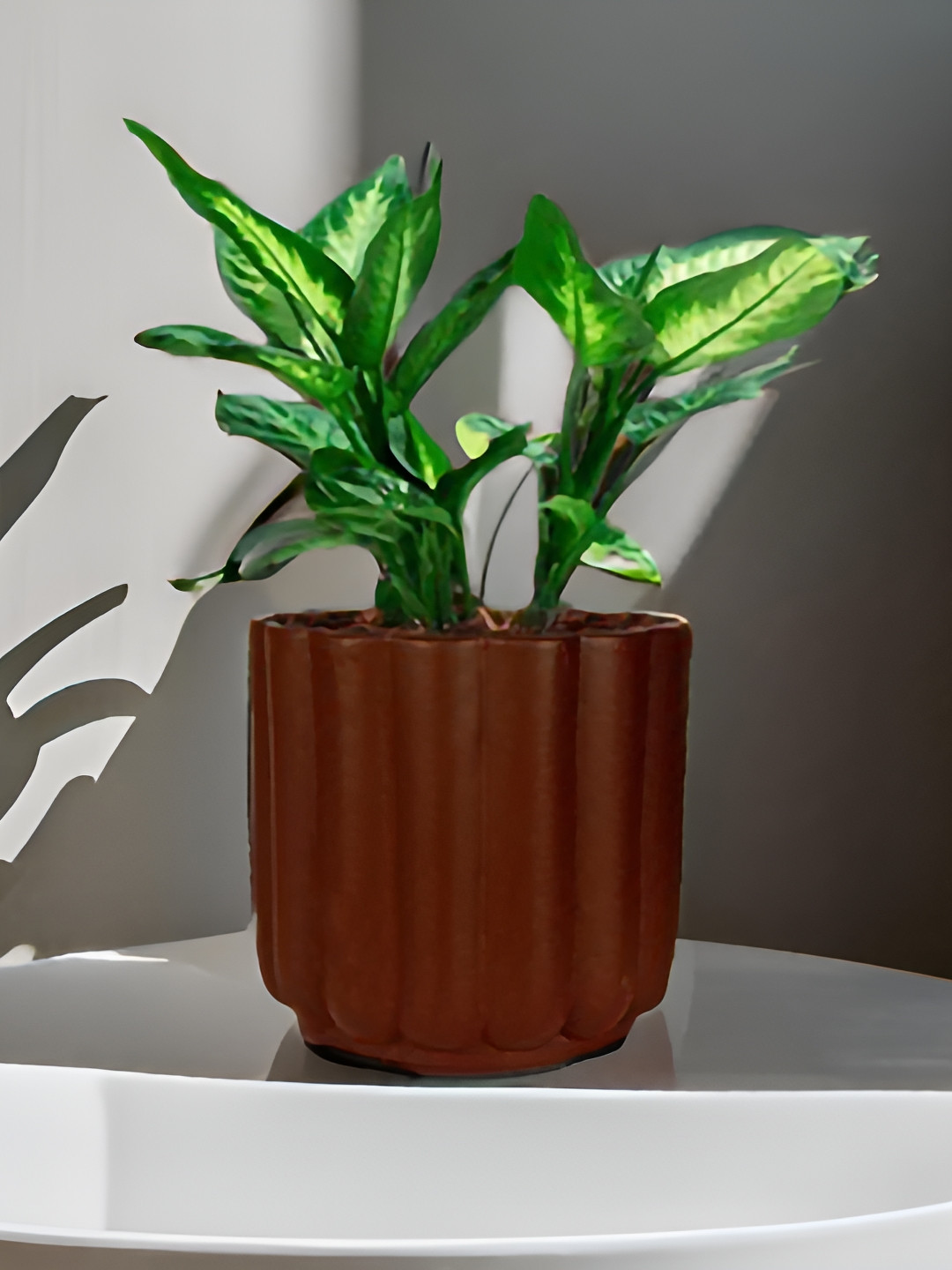 LASAKI Flona Copper Truffle Ceramic Planters