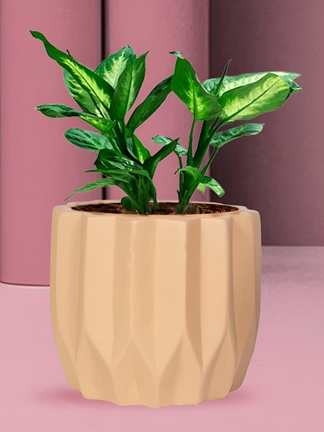 LASAKI Montra Bronze Ceramic Planters