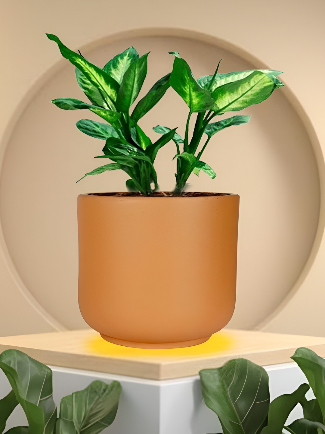 LASAKI Orin Bronze Small Ceramic Planters