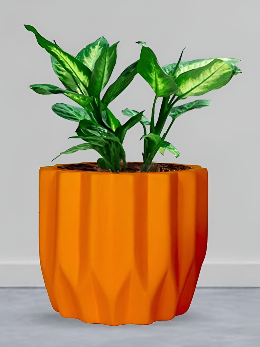 LASAKI Montra Orange Lily Ceramic Planters