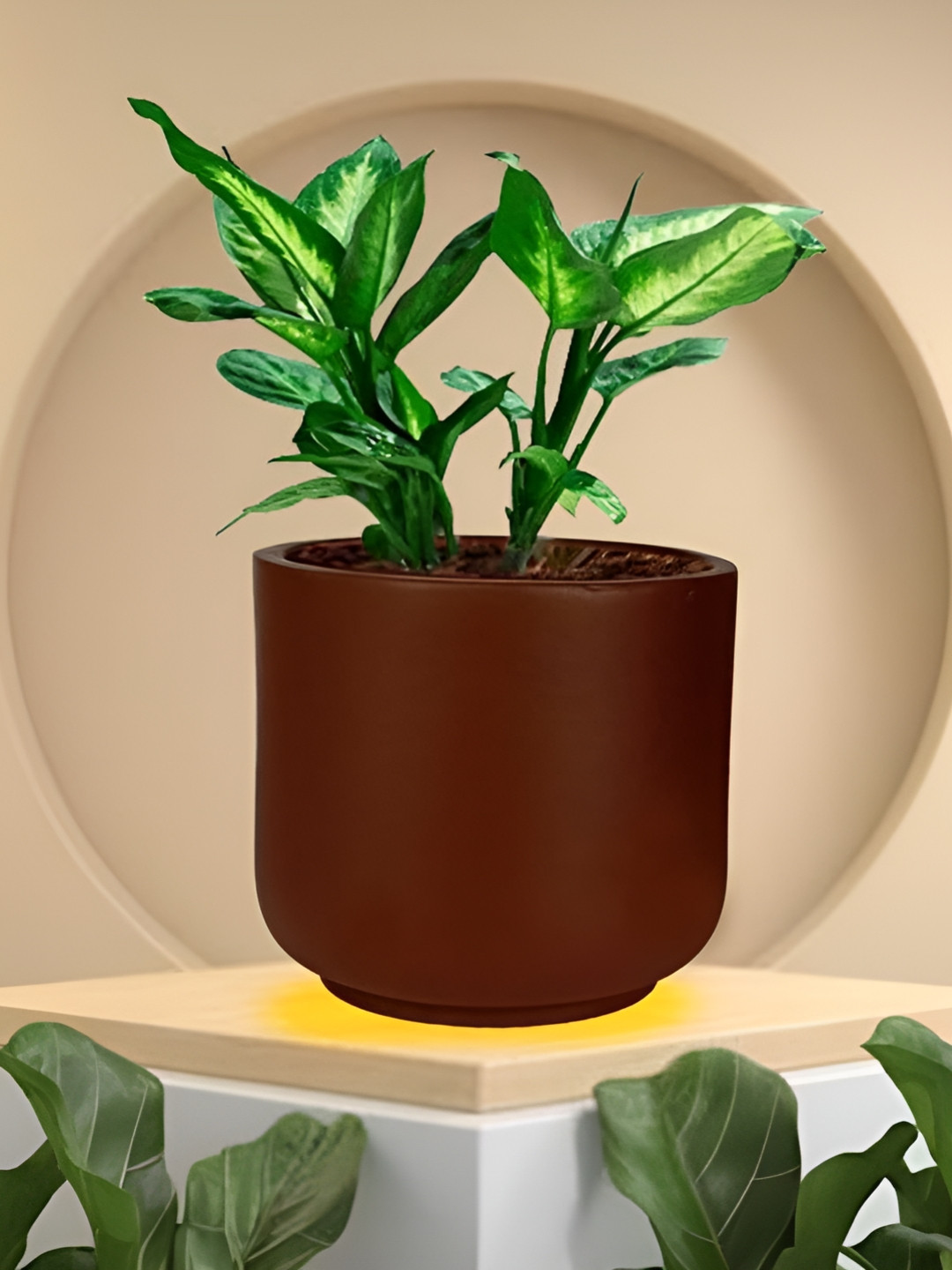 LASAKI Orin Copper Small Truffle Ceramic Planters