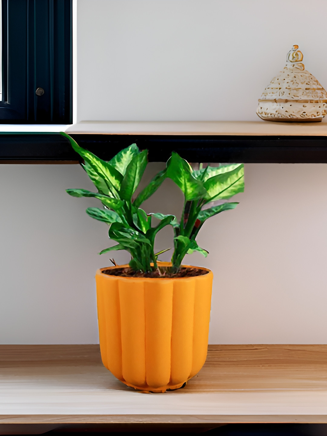 LASAKI Flona Orange Lily Ceramic Planters