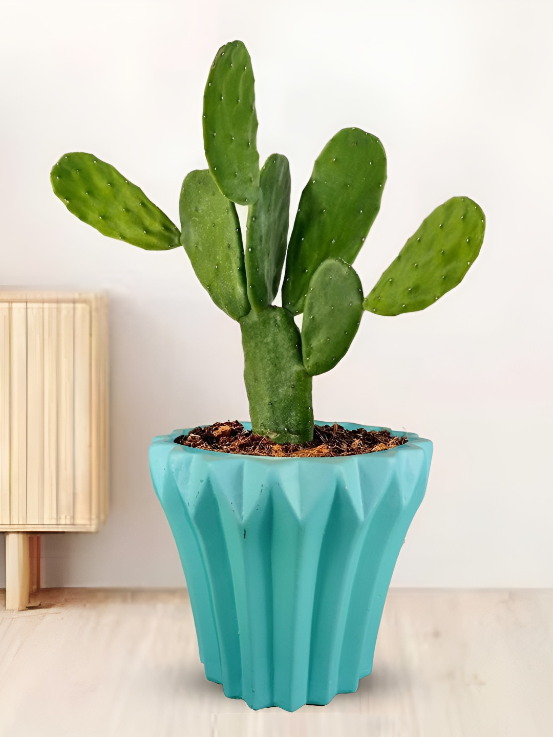 LASAKI Flory Blue Aqua Ceramic Planters