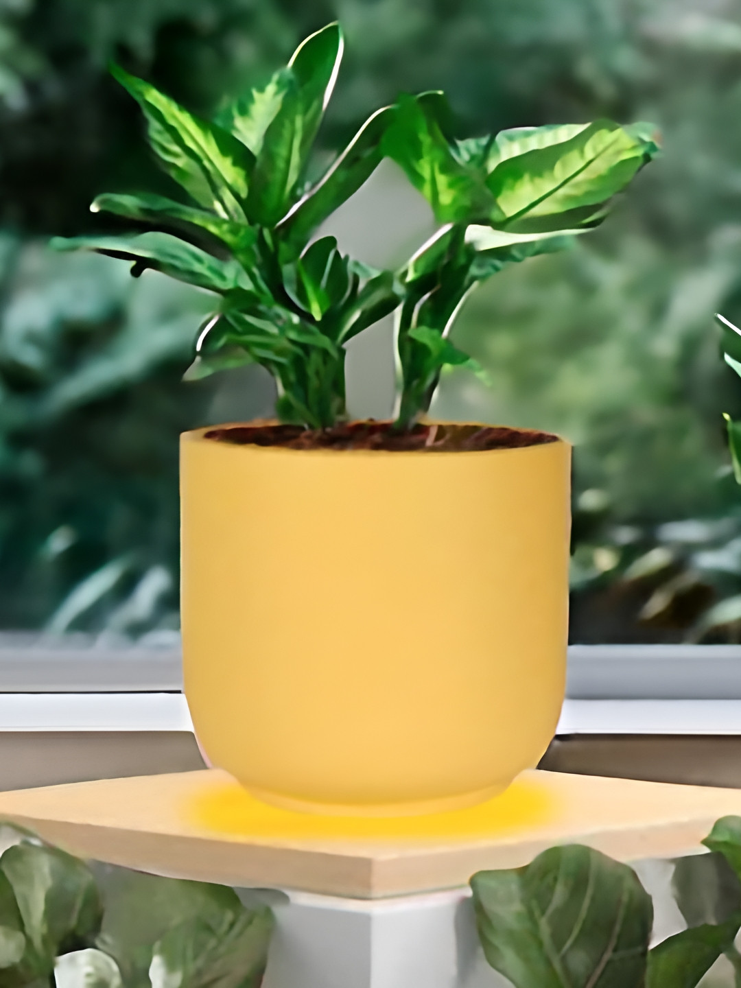 LASAKI Yellow Orin Big Saffron Ceramic Planters
