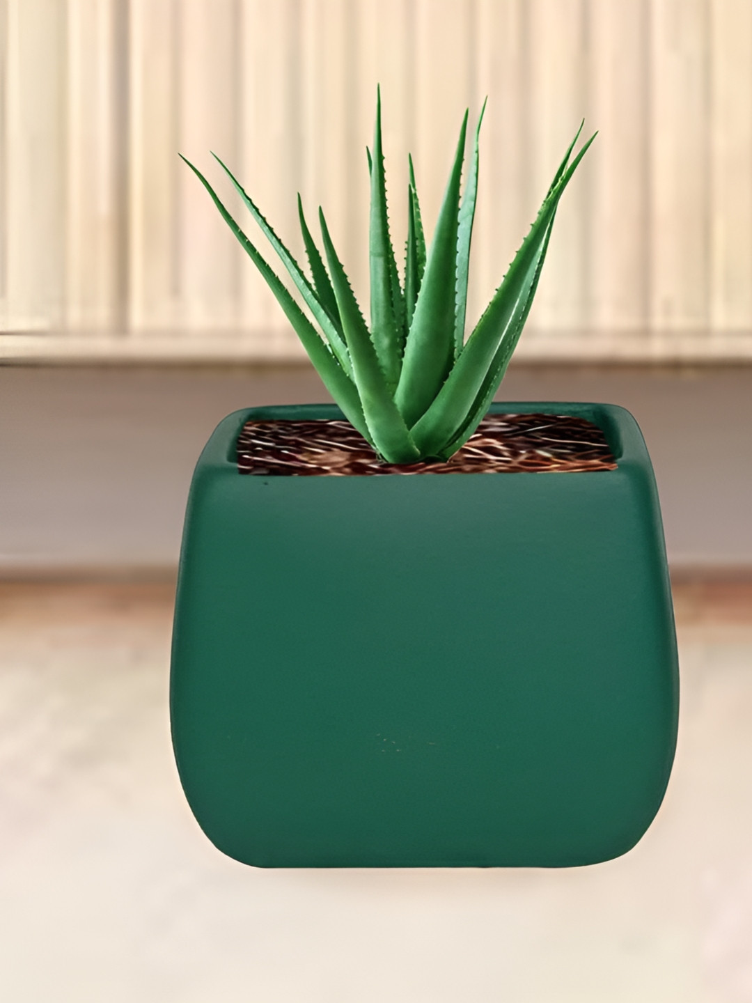 LASAKI Nebi Green Deep Jungle Ceramic Planters