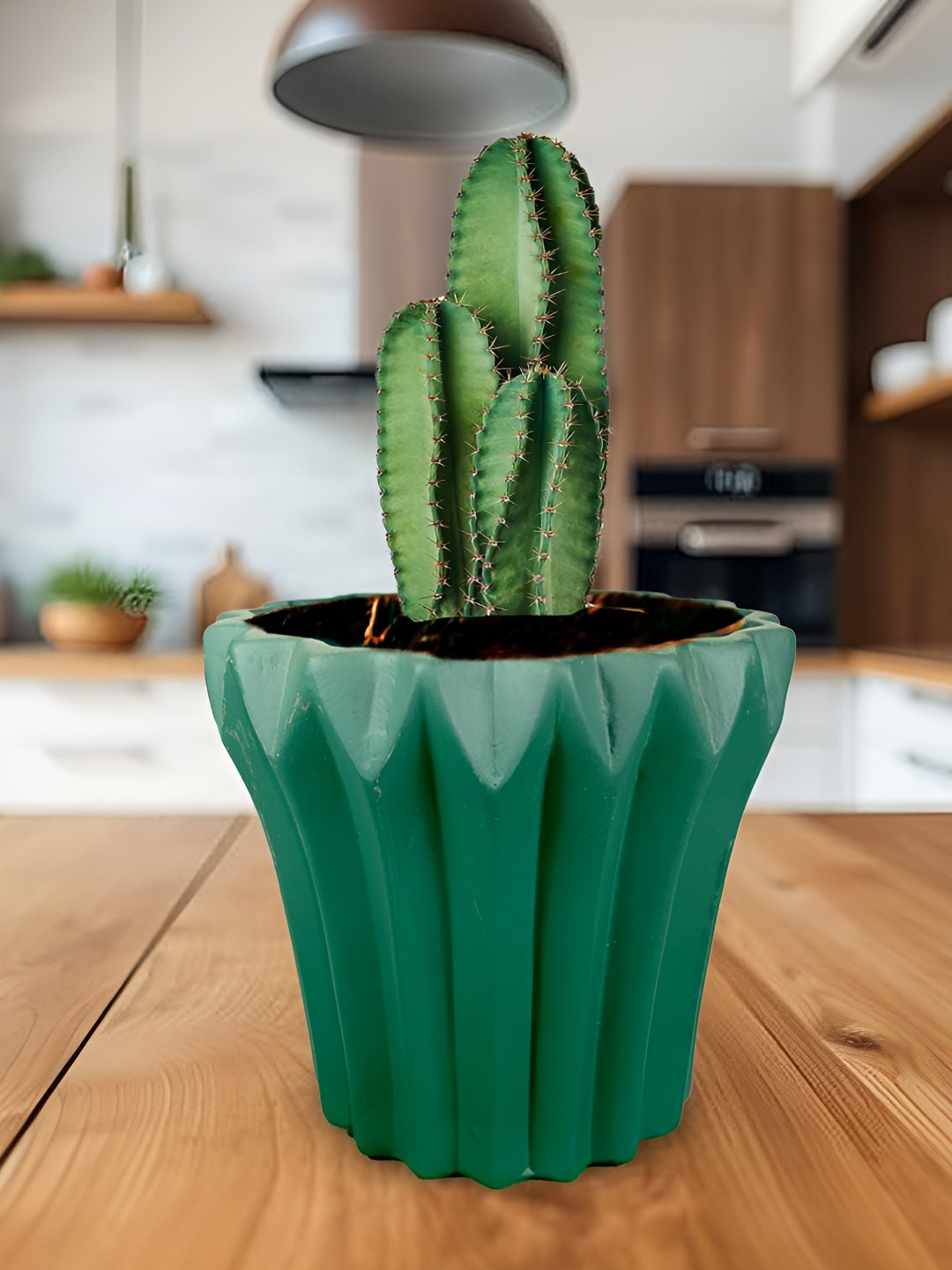 LASAKI Flory Green Deep Jungle Ceramic Planters