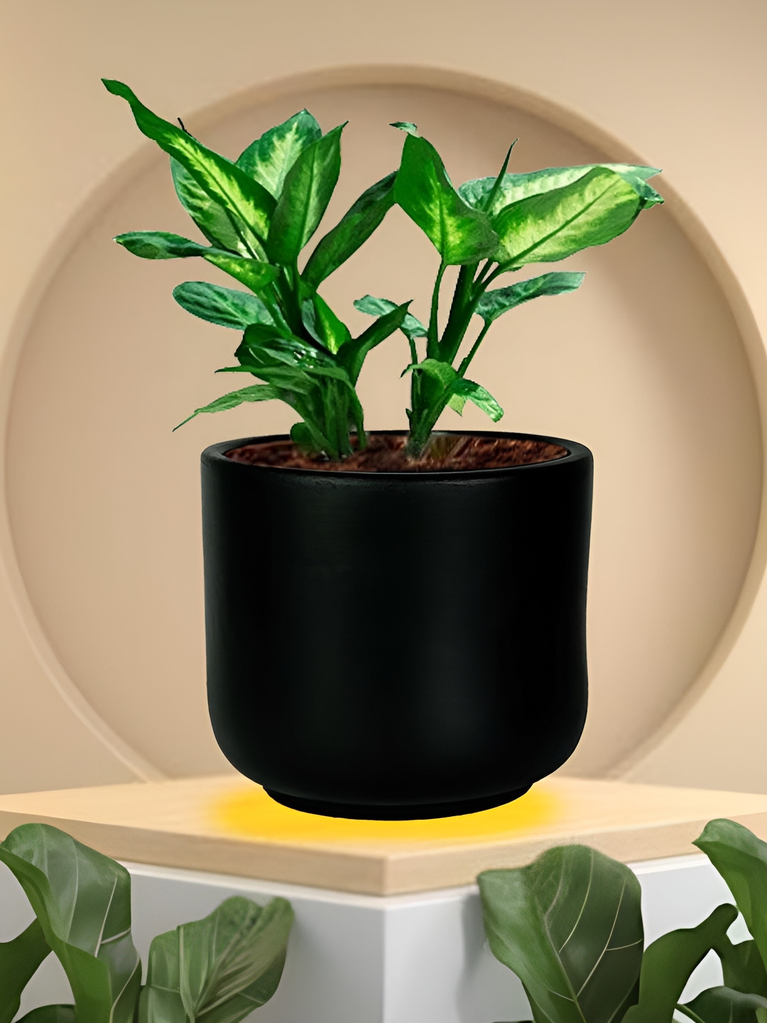 LASAKI Orin Black Small Ceramic Planters