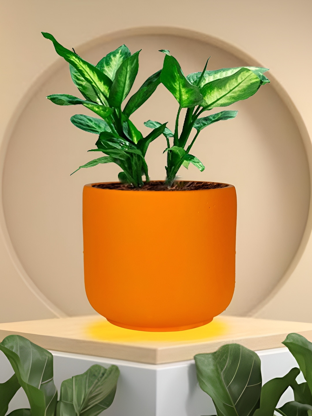 LASAKI Orange Orin Small Lily Ceramic Planters