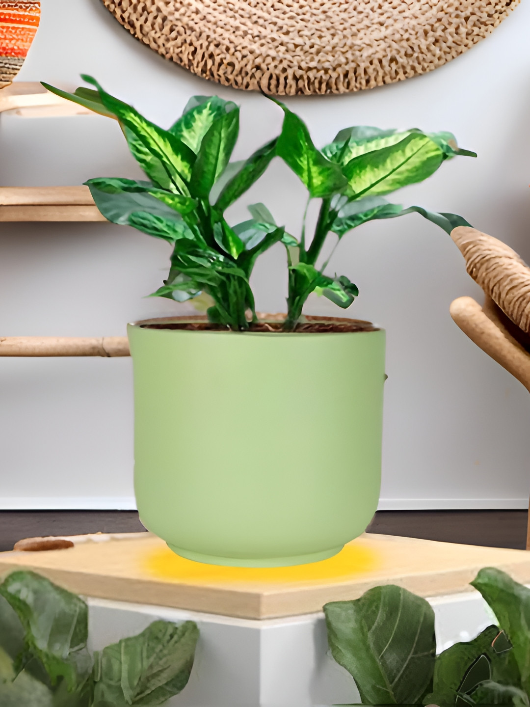 LASAKI Orin Green Big Ceramic Planters