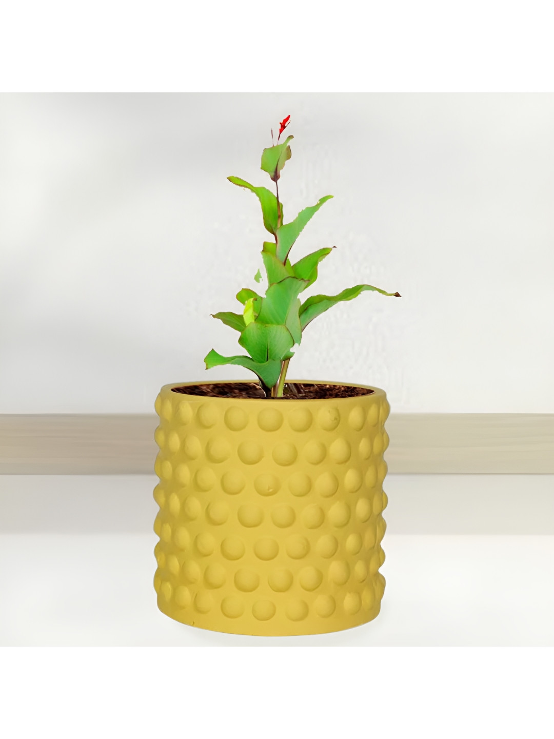 LASAKI Bubble Yellow Small Saffron Ceramic Planters