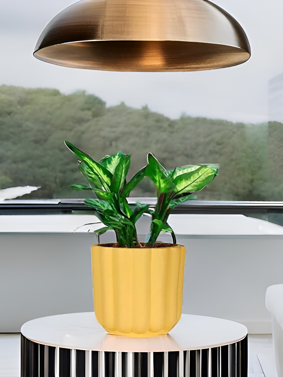 LASAKI Flona Yellow Saffron Ceramic Planters