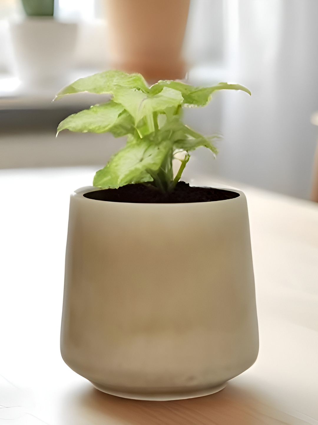 LASAKI Clara Brown Ceramic Planters