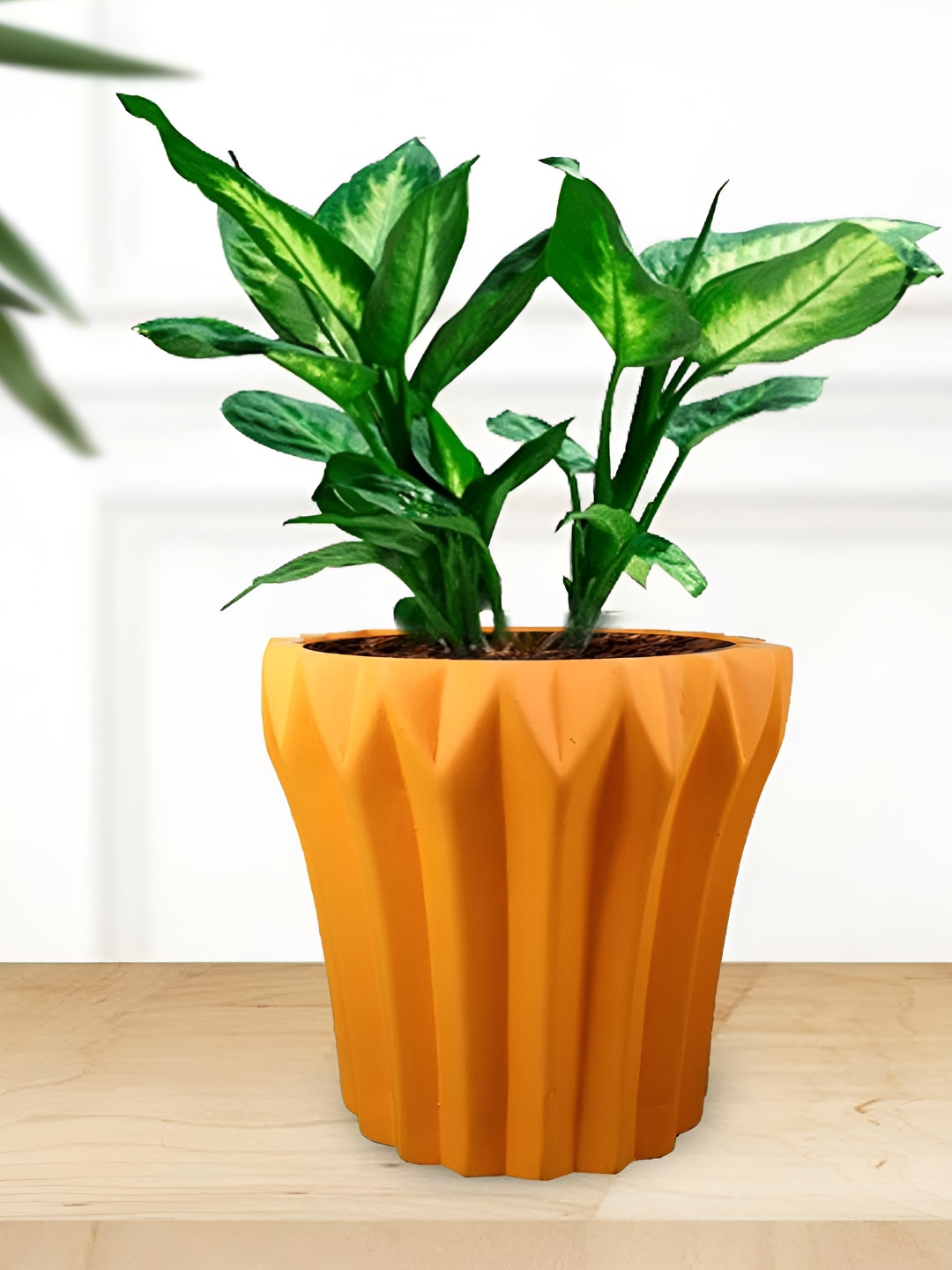 LASAKI Flory Orange Lily Ceramic Planters