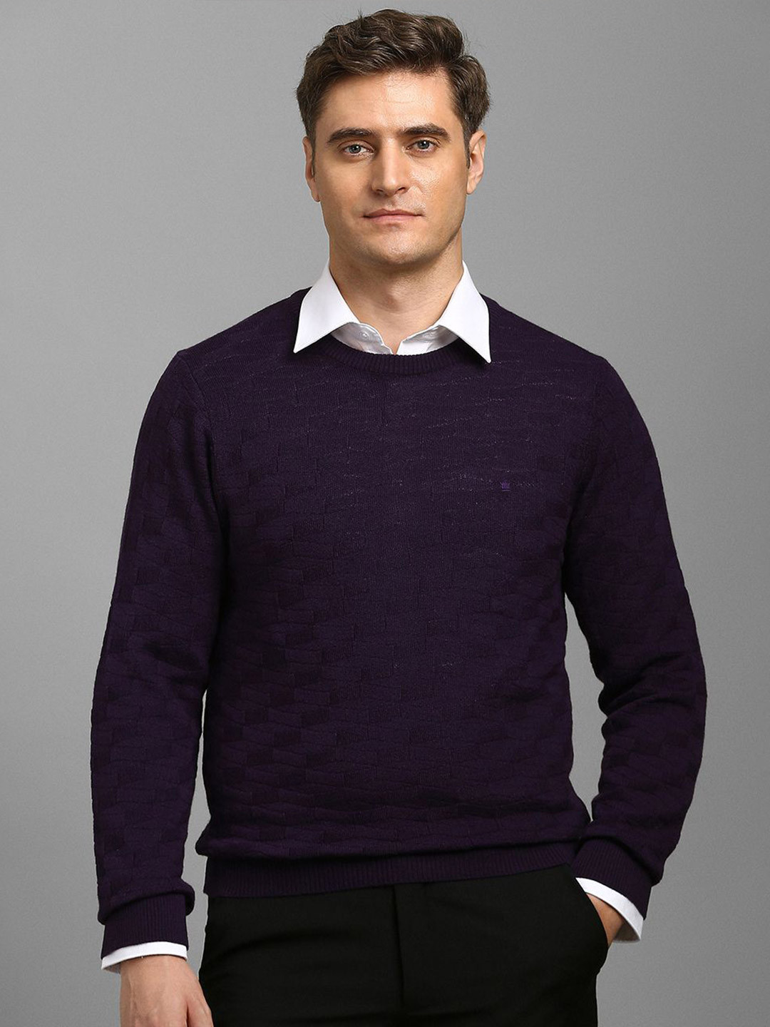Louis Philippe Men Textured  Crew Neck Full Sleeves Pullover