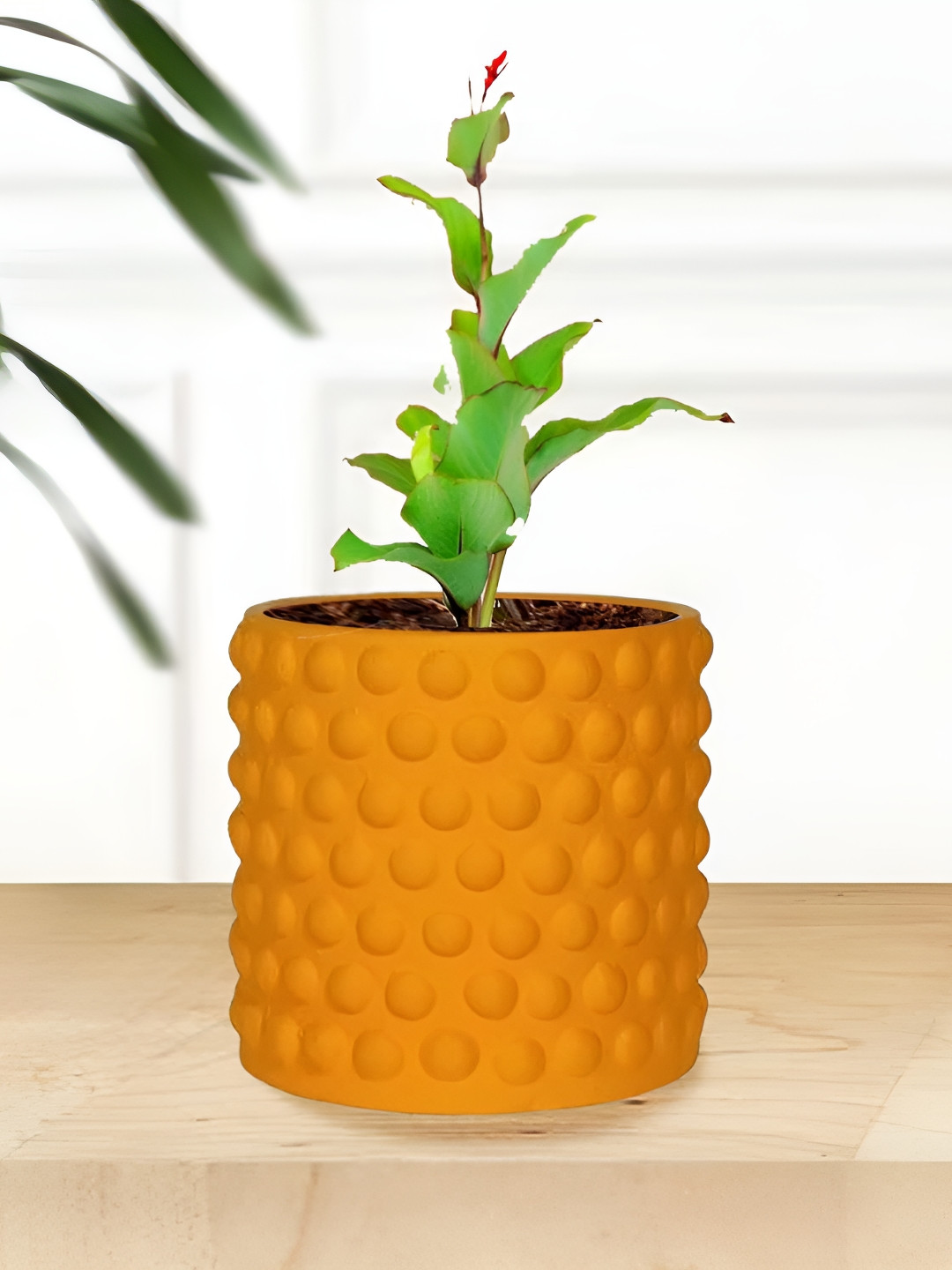 LASAKI Bubble Orange Small Lily Ceramic Planters