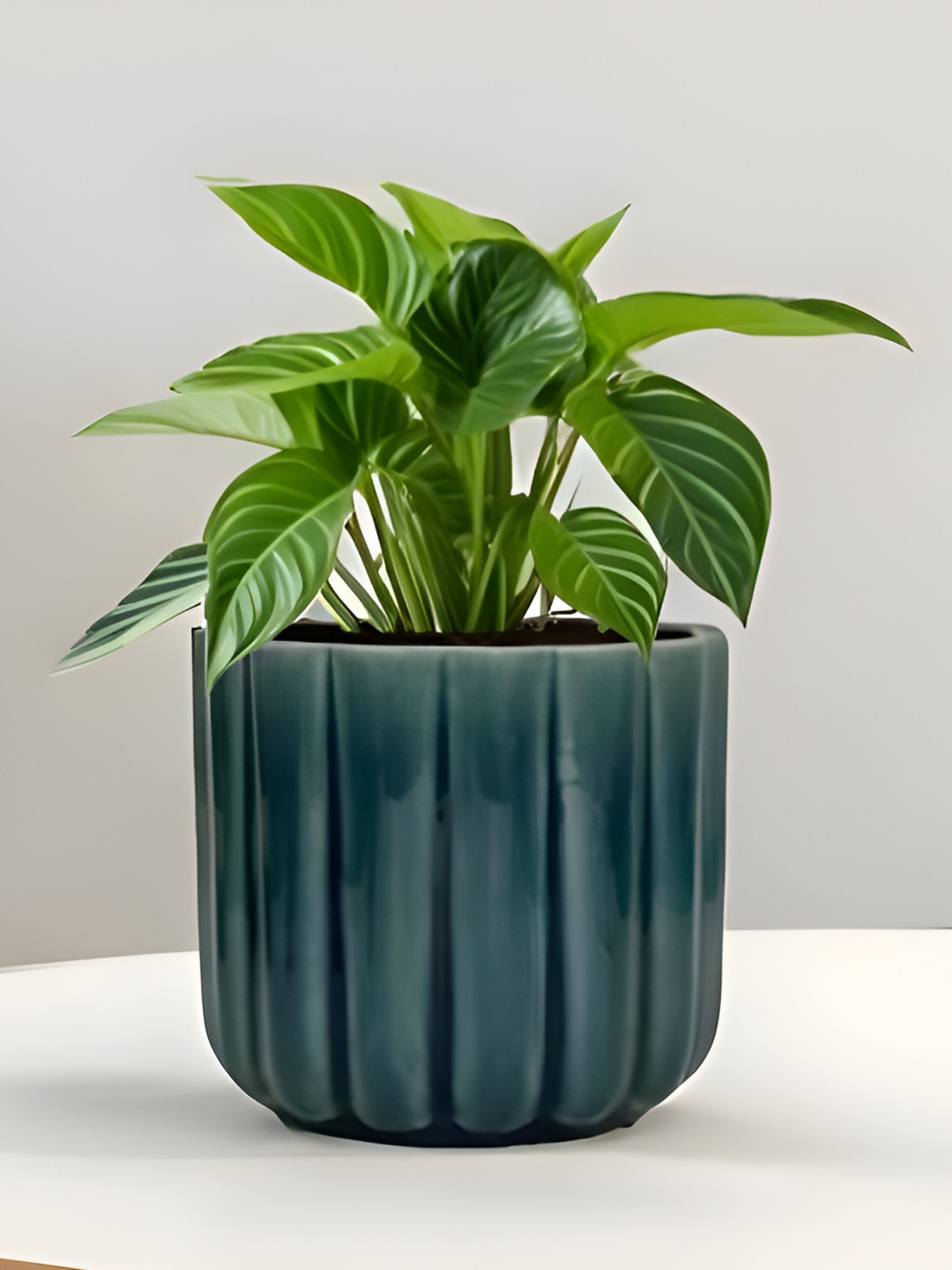 LASAKI Flona Blue Ceramic Planters