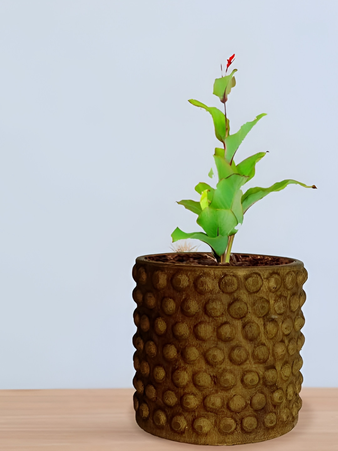 LASAKI Bubble Brown Small Antique Ceramic Planters