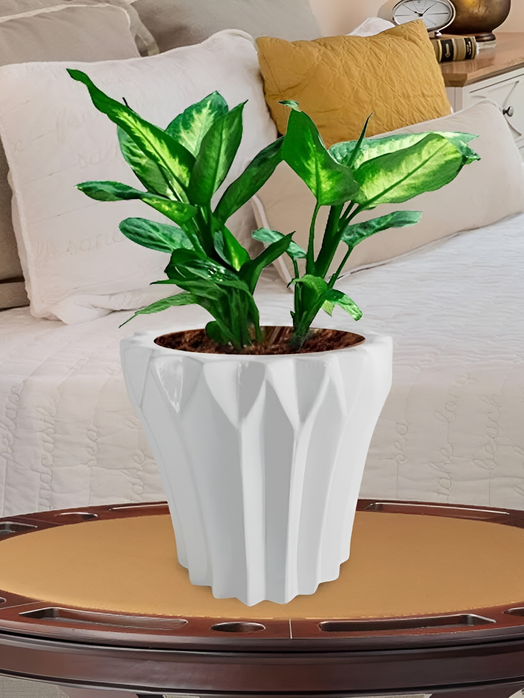 LASAKI Flory White Ceramic Planters