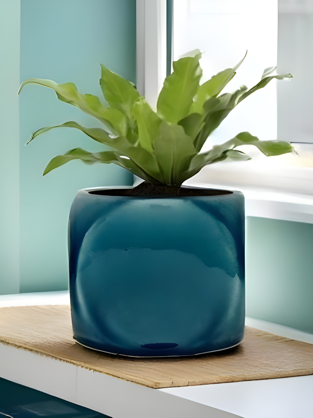 LASAKI Aero Blue Ceramic Planters