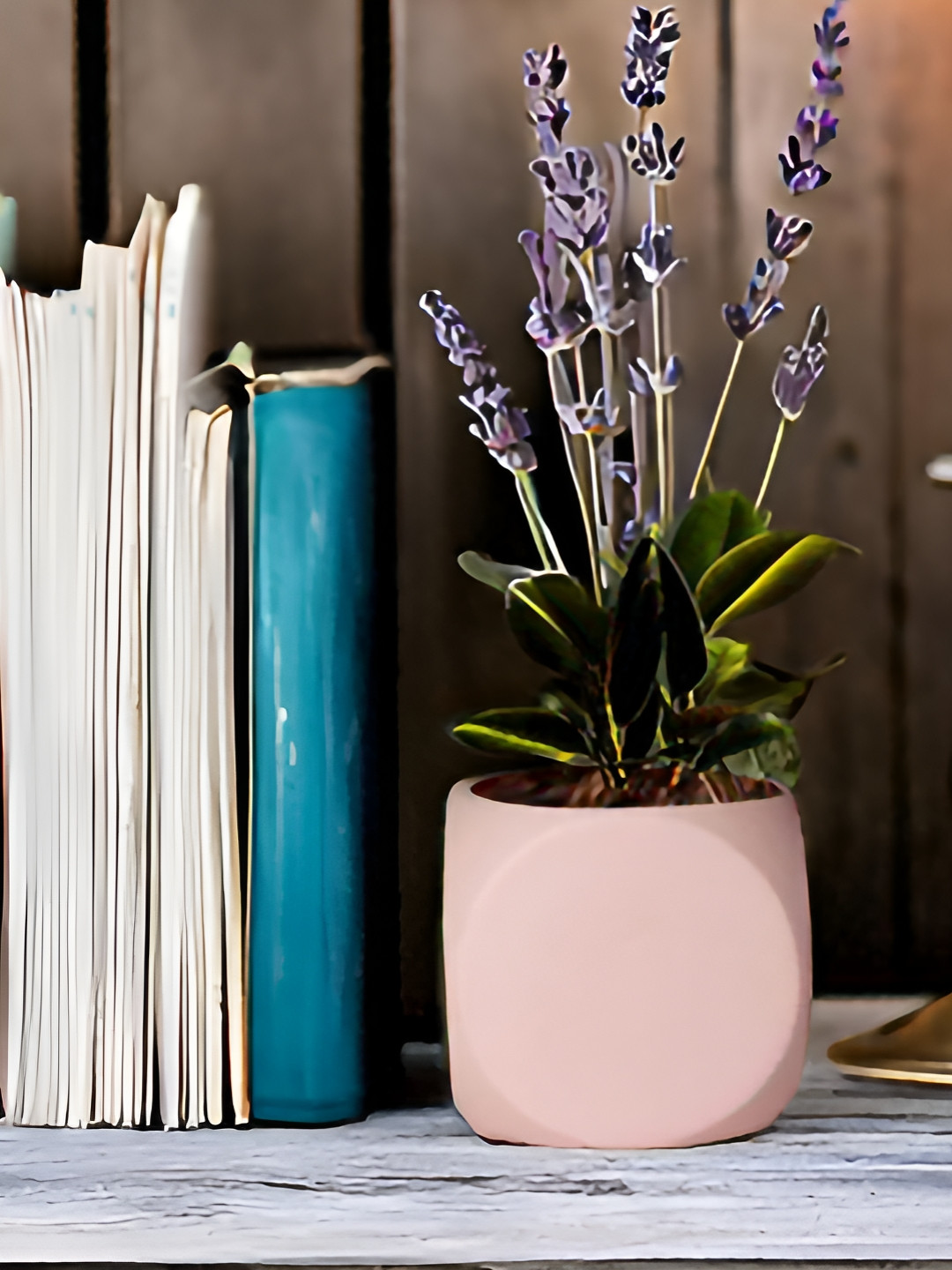 LASAKI Aero Pink Ceramic Planters