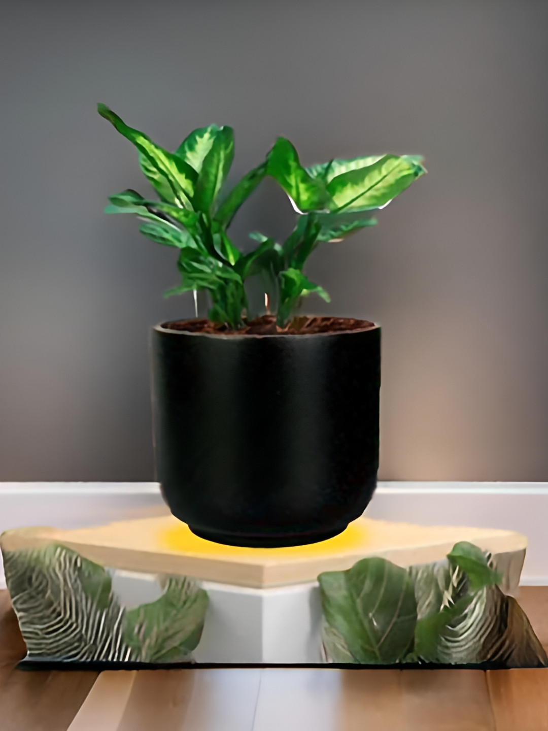 LASAKI Orin Black Big Ceramic Planters