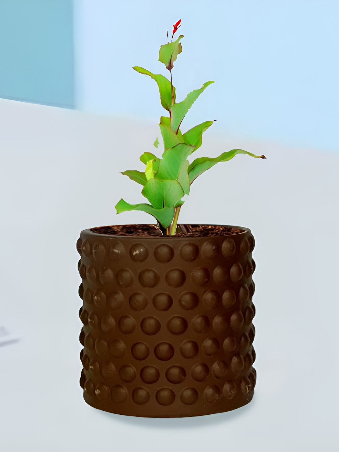 LASAKI Bubble Copper Small Truffle Ceramic Planters