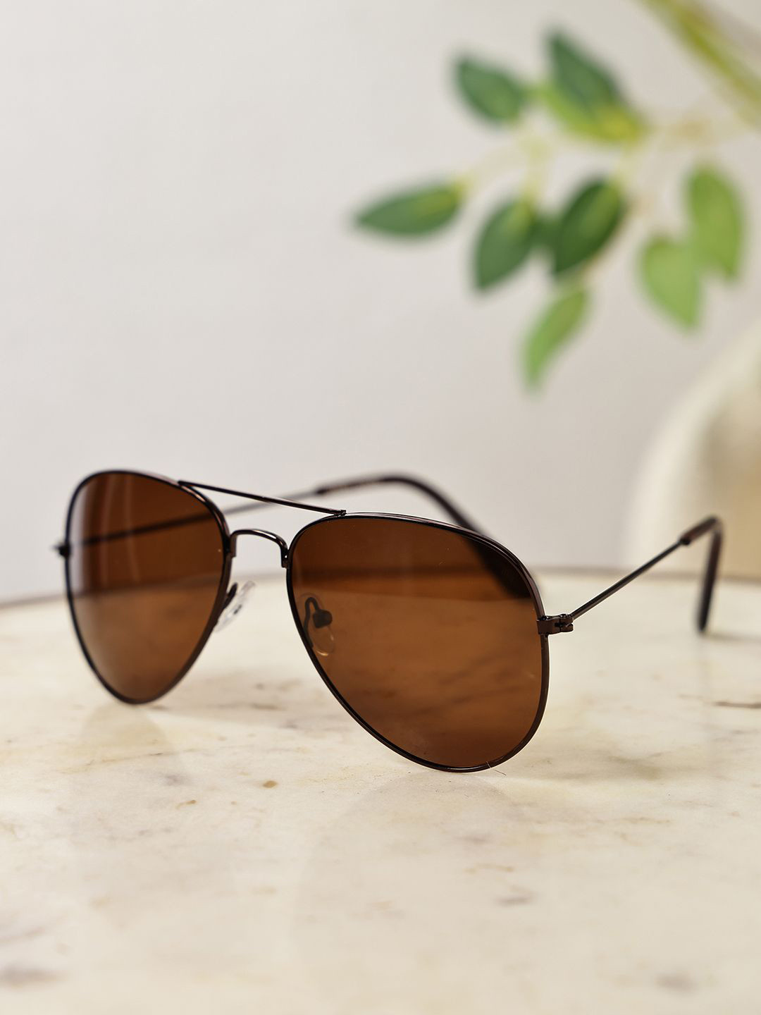 Garry Gobbs Unisex Brown Lens & Brown Aviator Sunglasses with