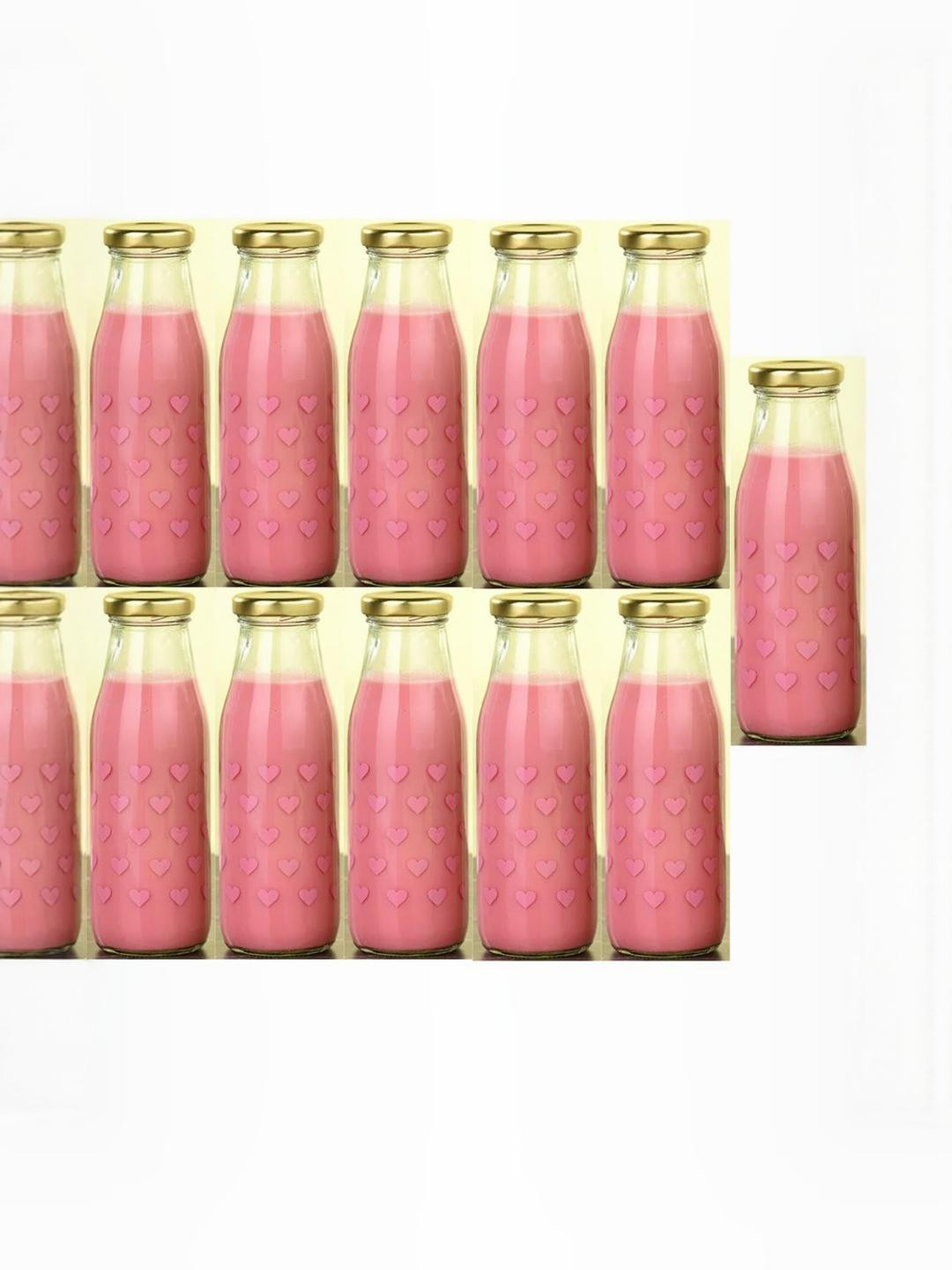 SOMIL Set Of 11 Glass Water Bottle