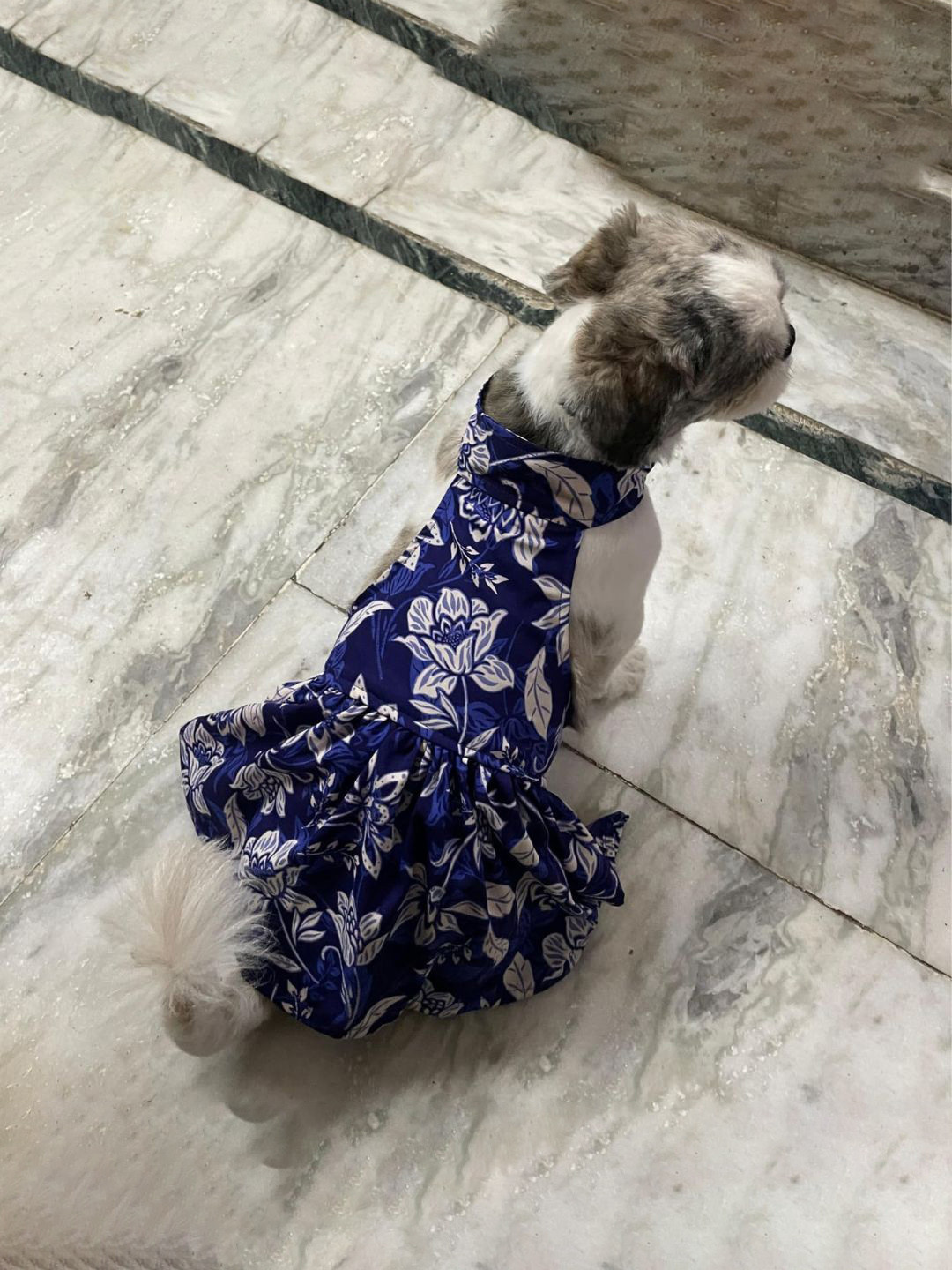 Lulala Floral Printed Skin Friendly Dog Frock Dress