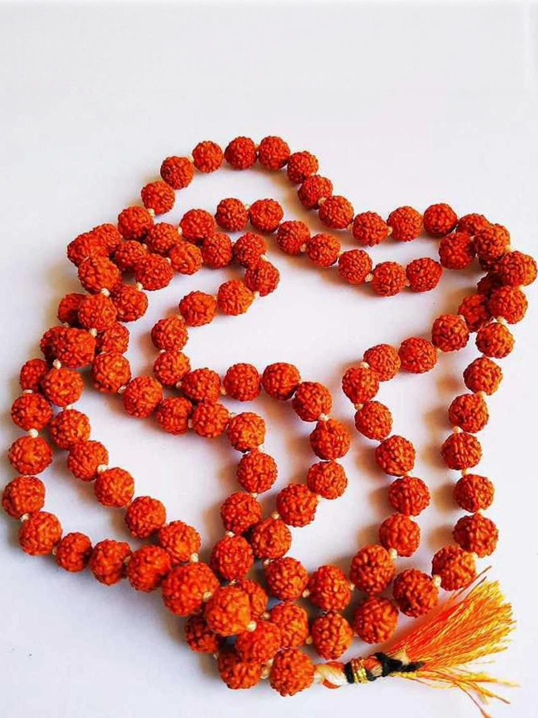 AURRA STORES Brown Rudraksh Chain