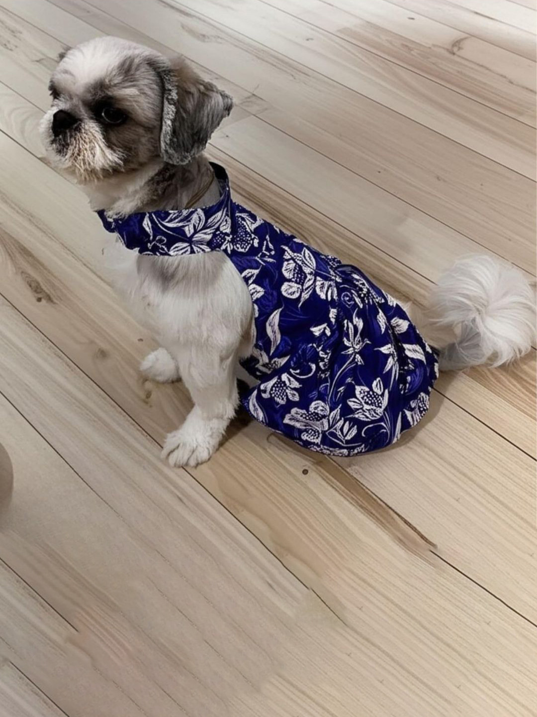 Lulala Floral Printed Skin Friendly Dogs & Cats Frock Dress