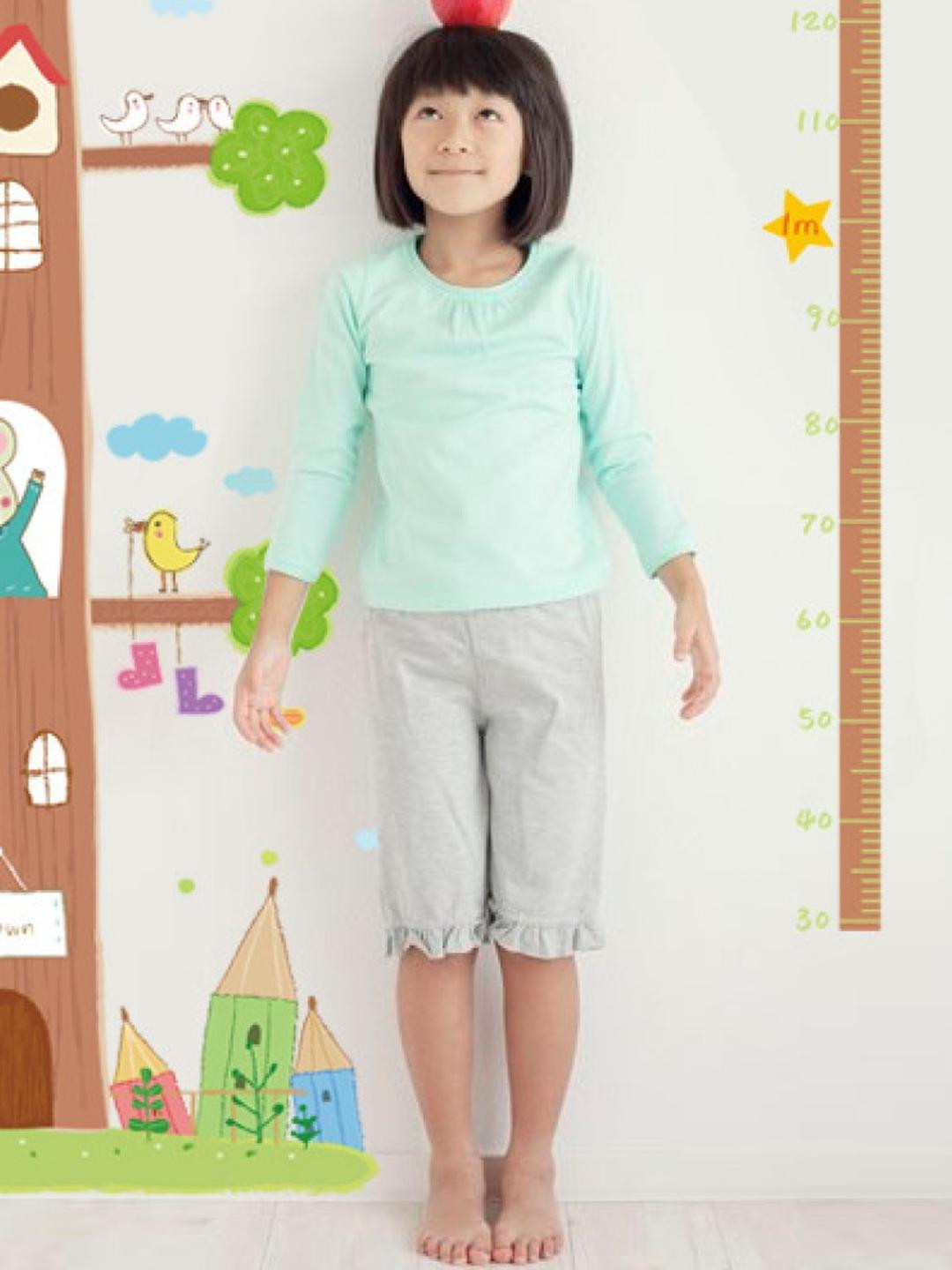 INDIAN ROYALS Growth Scale Paper Wall Sticker (60 CM X 90 CM)