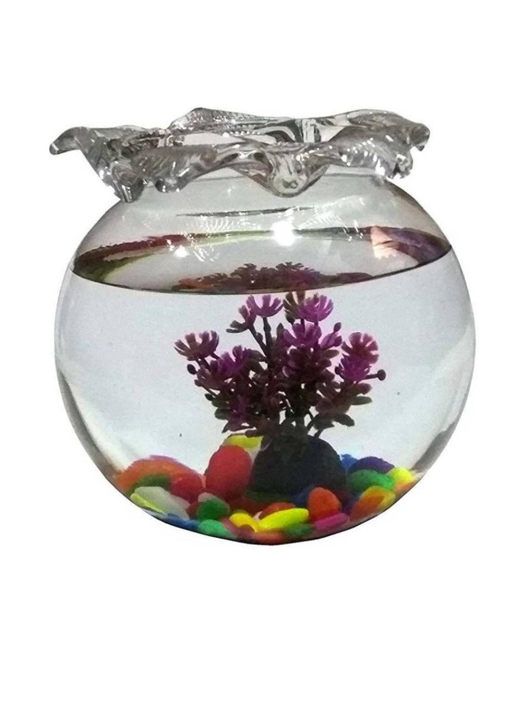 SOMIL Clear & Round Glass Fish Pot