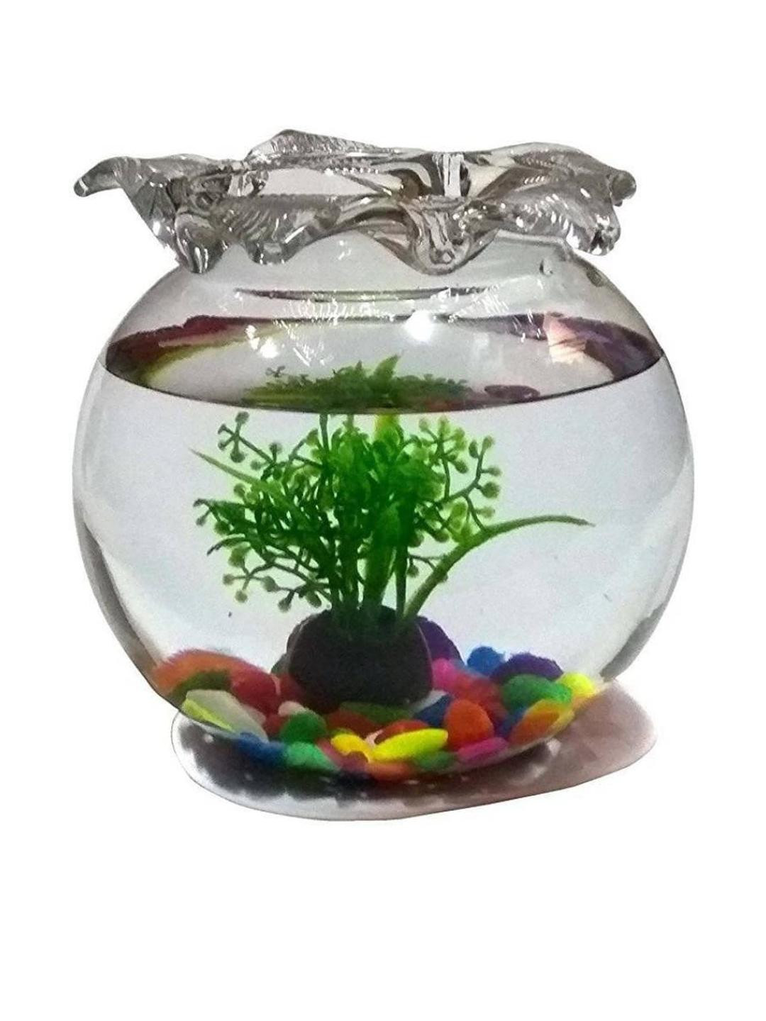 SOMIL Transparent Glass Fish Bowls