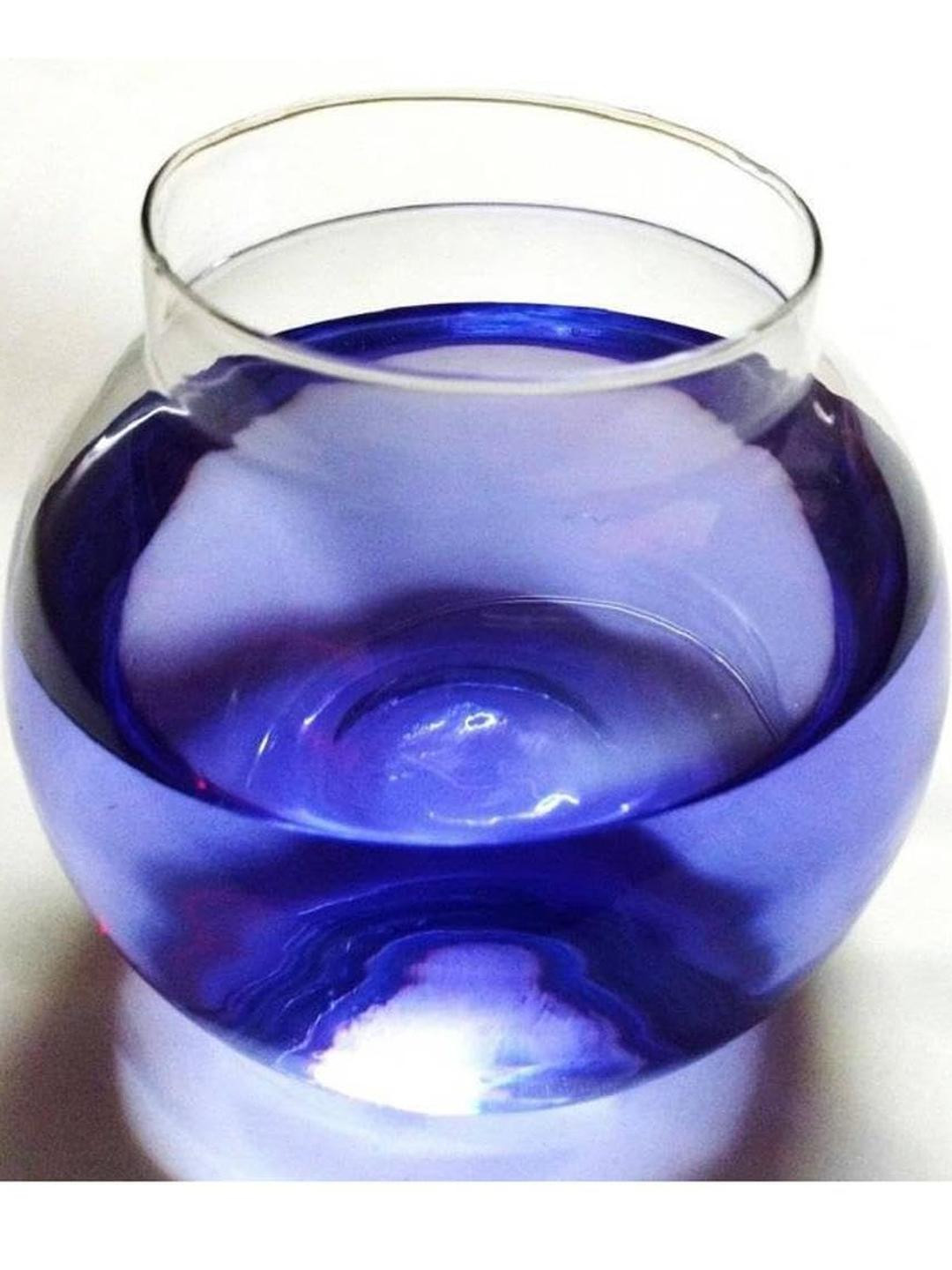 Somil Transparent Round Decorative Glass Fish Pot 1L