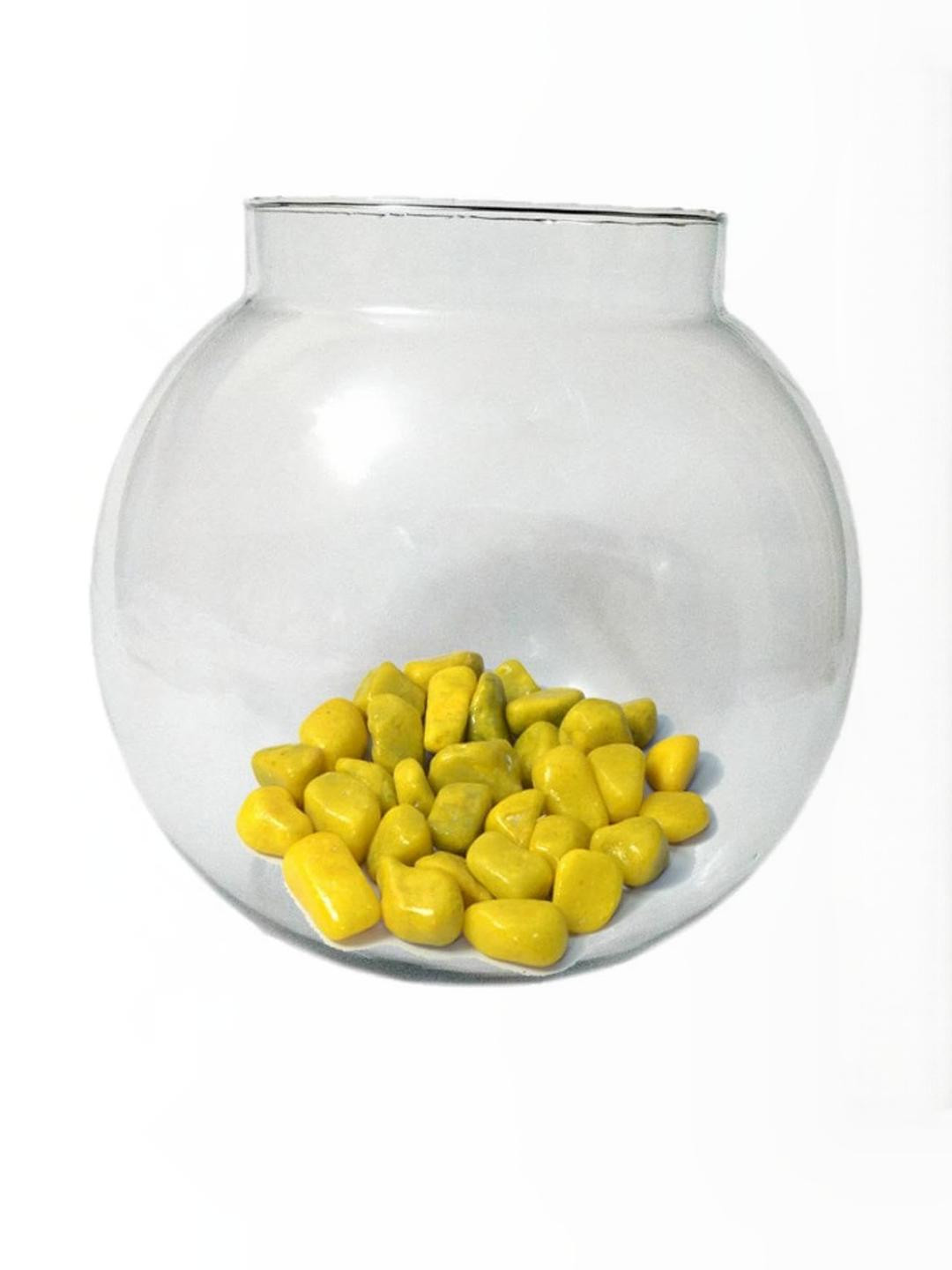SOMIL Clear & Round Glass Fish Pot