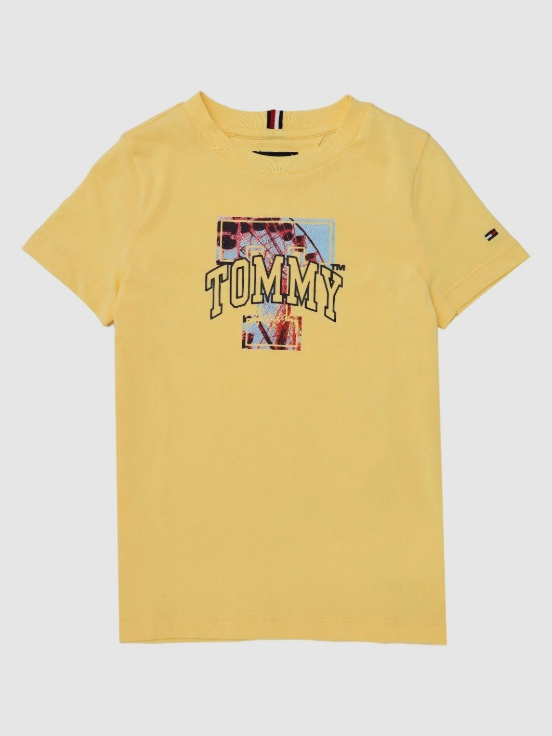 Tommy Hilfiger Boys Graphic Printed Round Neck Cotton T-shirt