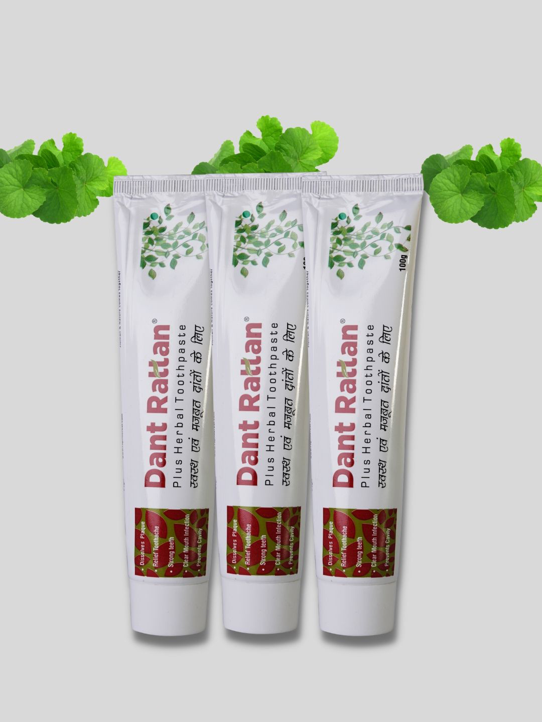 DANT RATTAN Set Of 3 Herbal Plus Toothpaste - 100 g Each