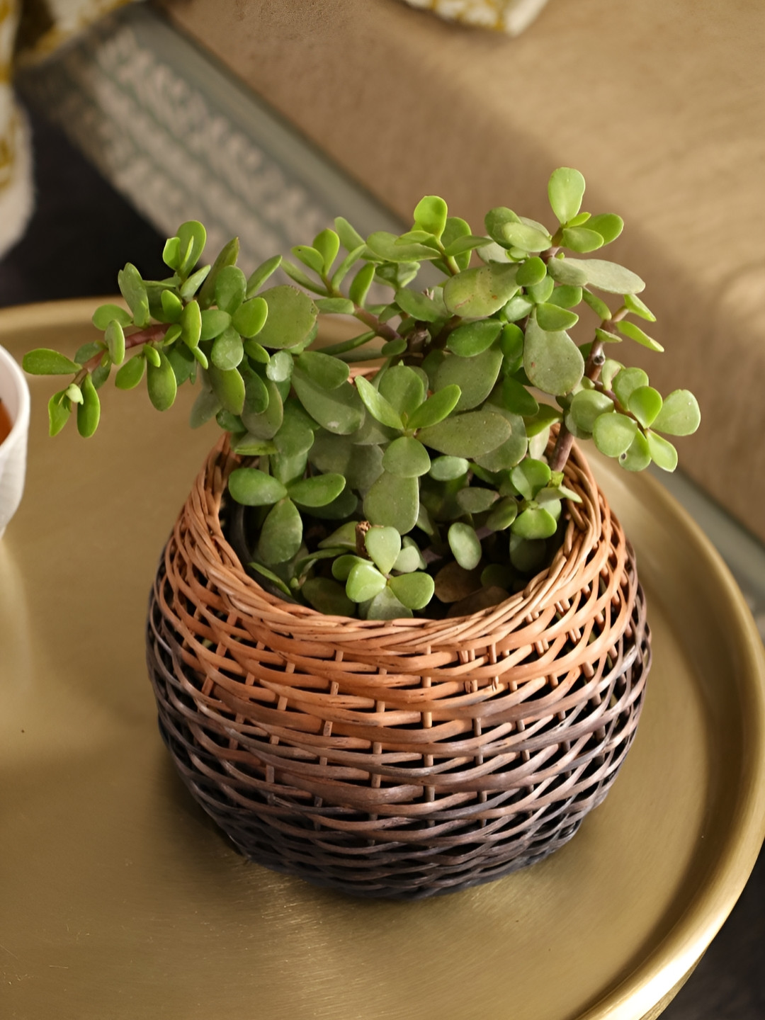 Peepul Tree Brown Textured Handcrafted Table Top Planter