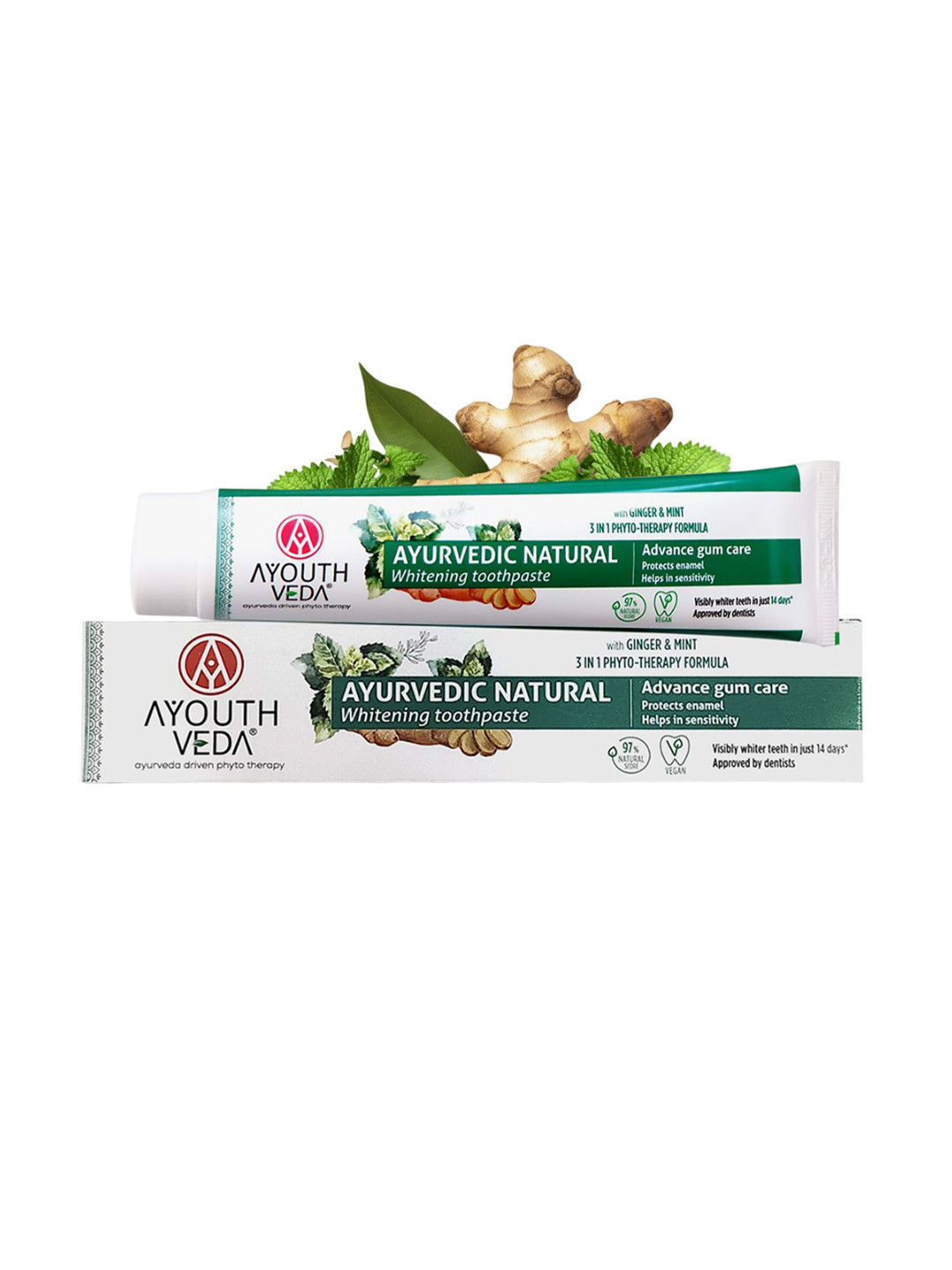 AYOUTHVEDA Set Of 3 Ayurvedic Natural Advance Gum Care Toothpaste - 100 g Each